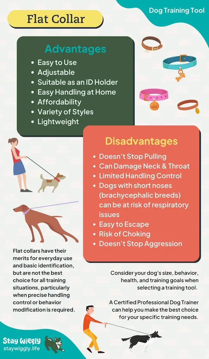Best Dog Collars to Stop Pulling (And Ones You Should Avoid) ~ Stay ...