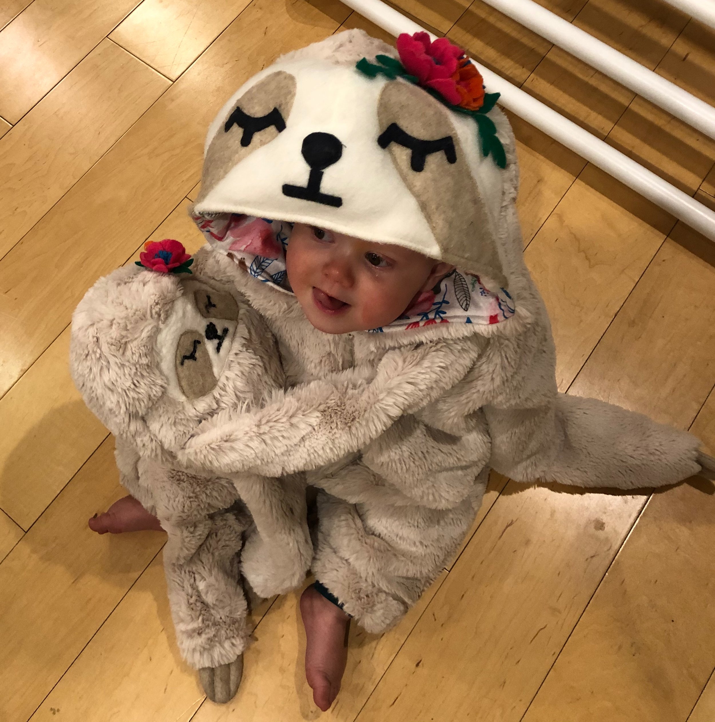 Sloth Mother and Child