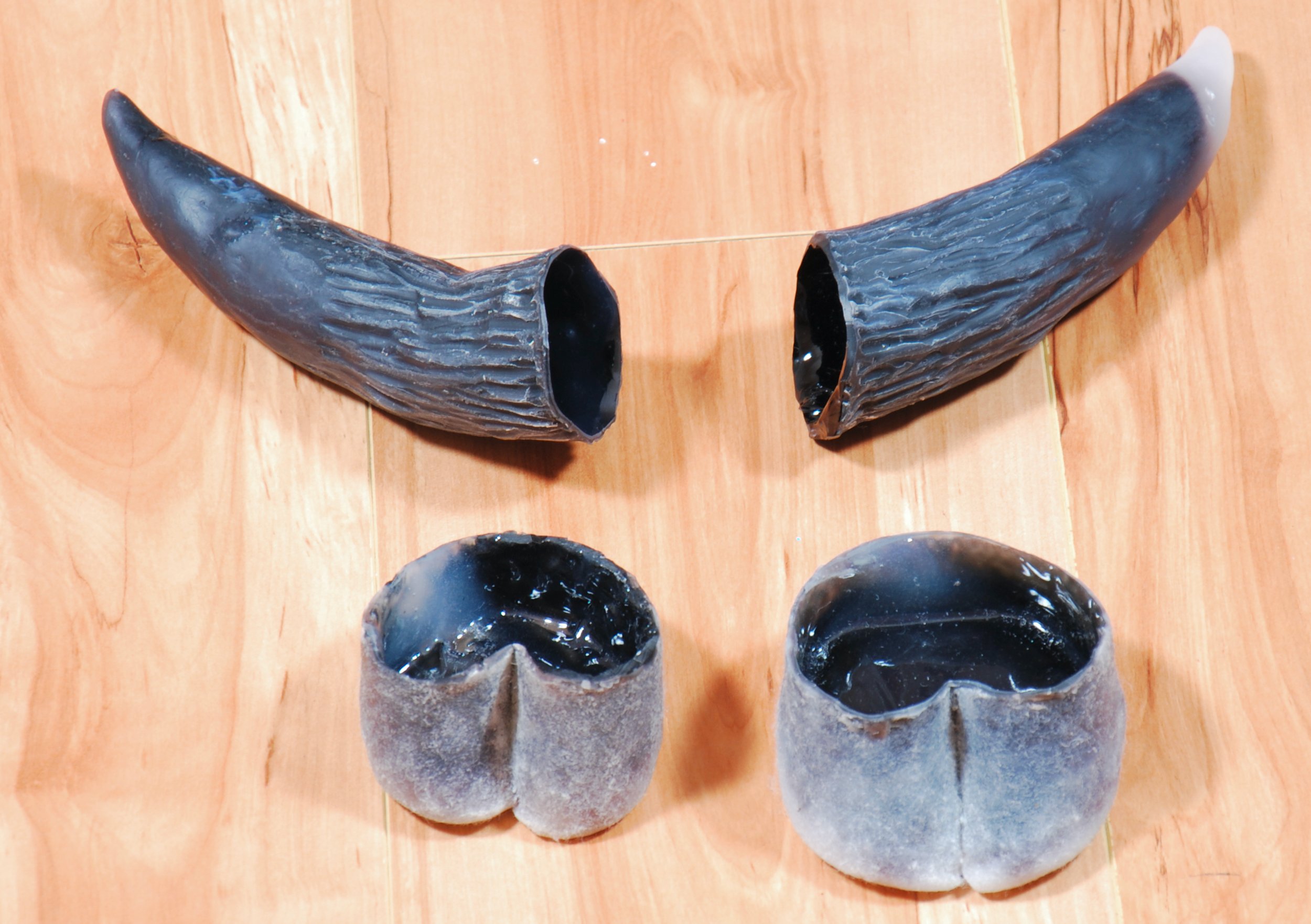 horns and hooves