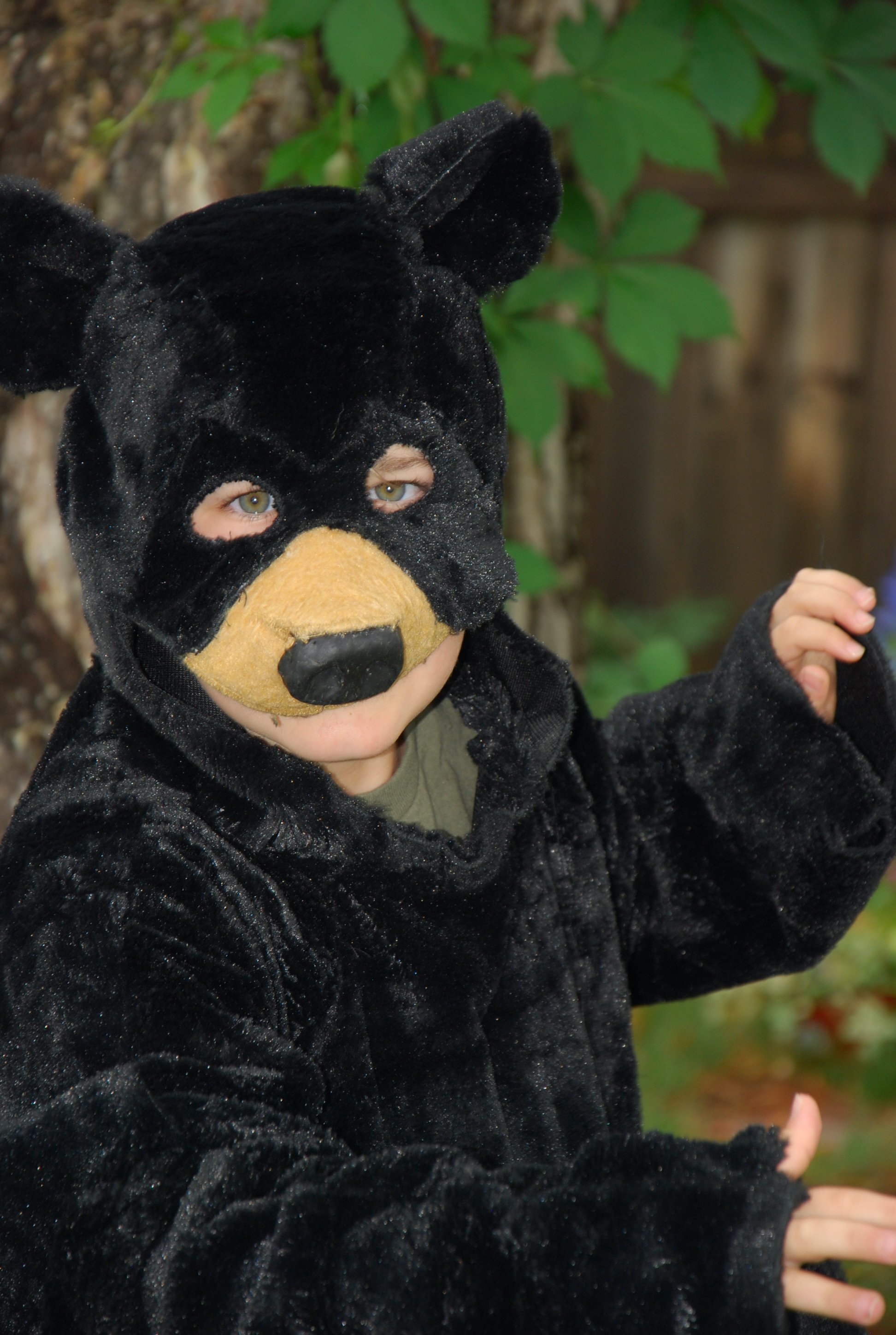 Black Bear (Longmont Museum)