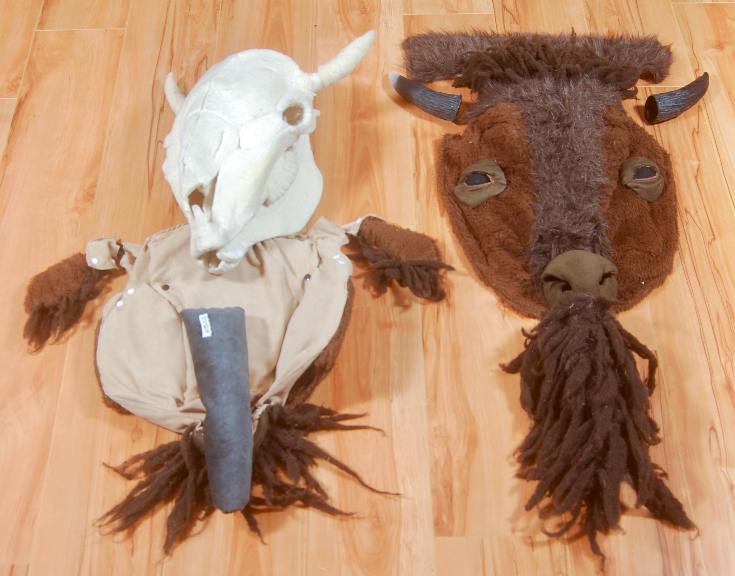 bison head (deconstructed)