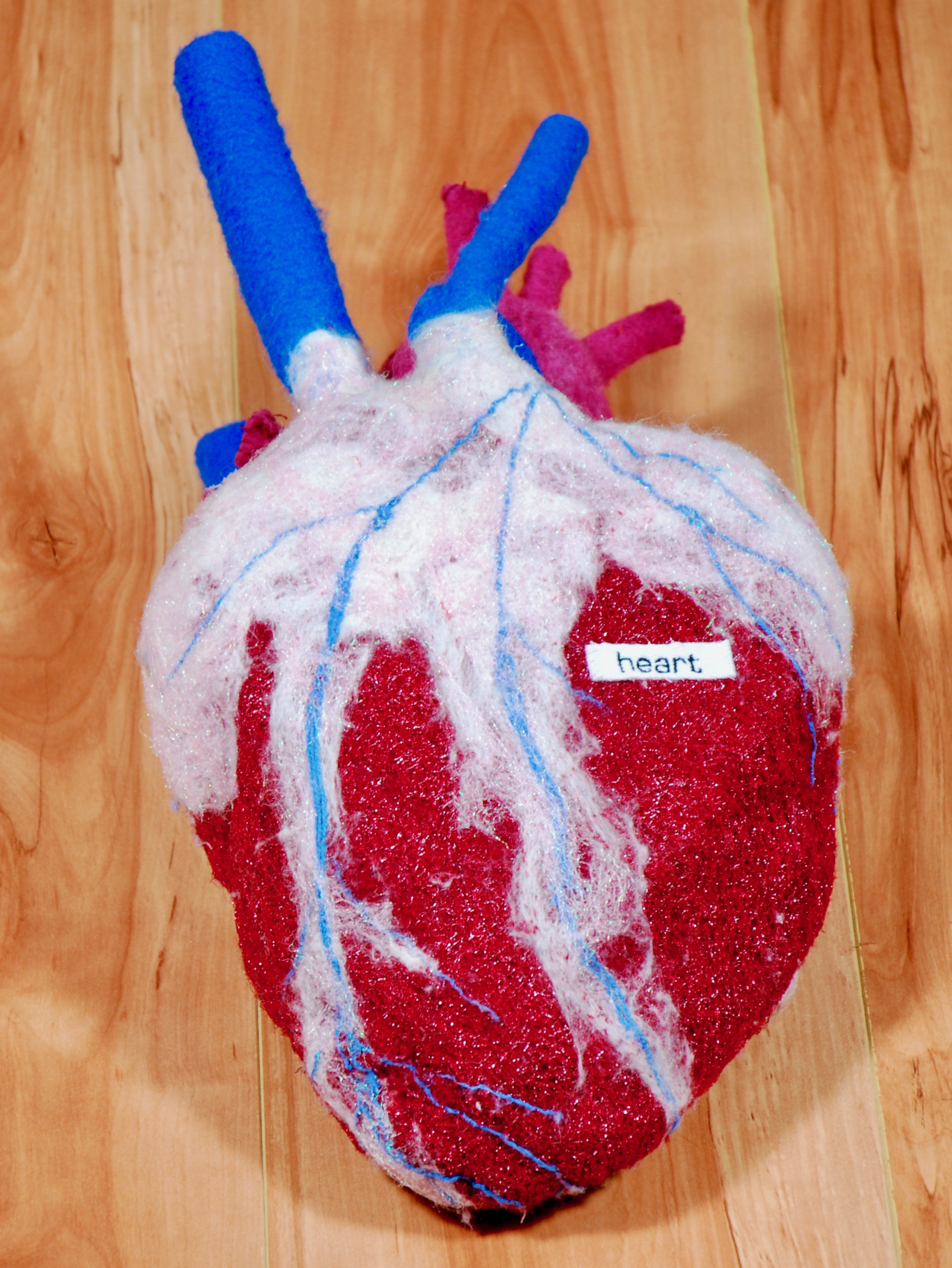 heart (front)
