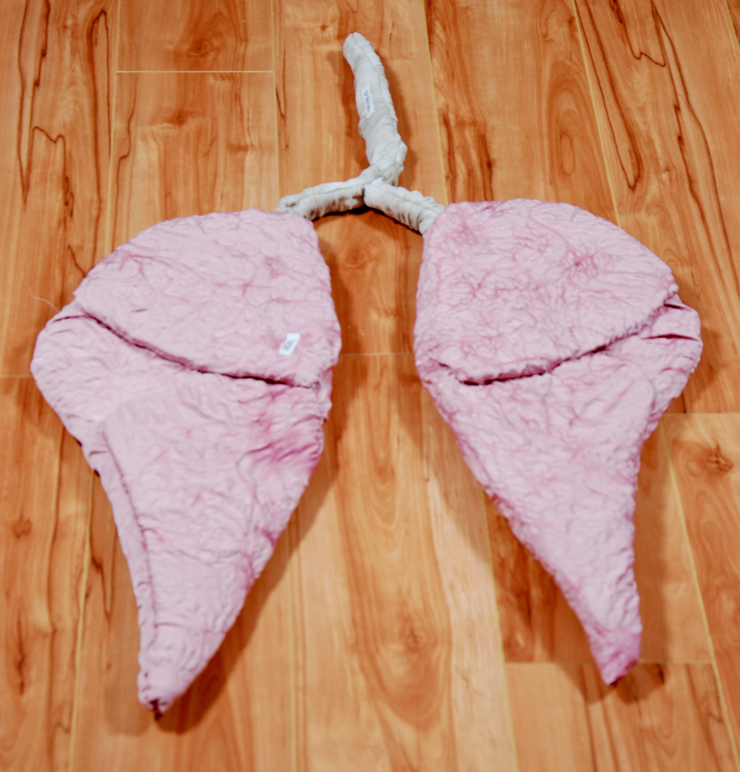 lungs