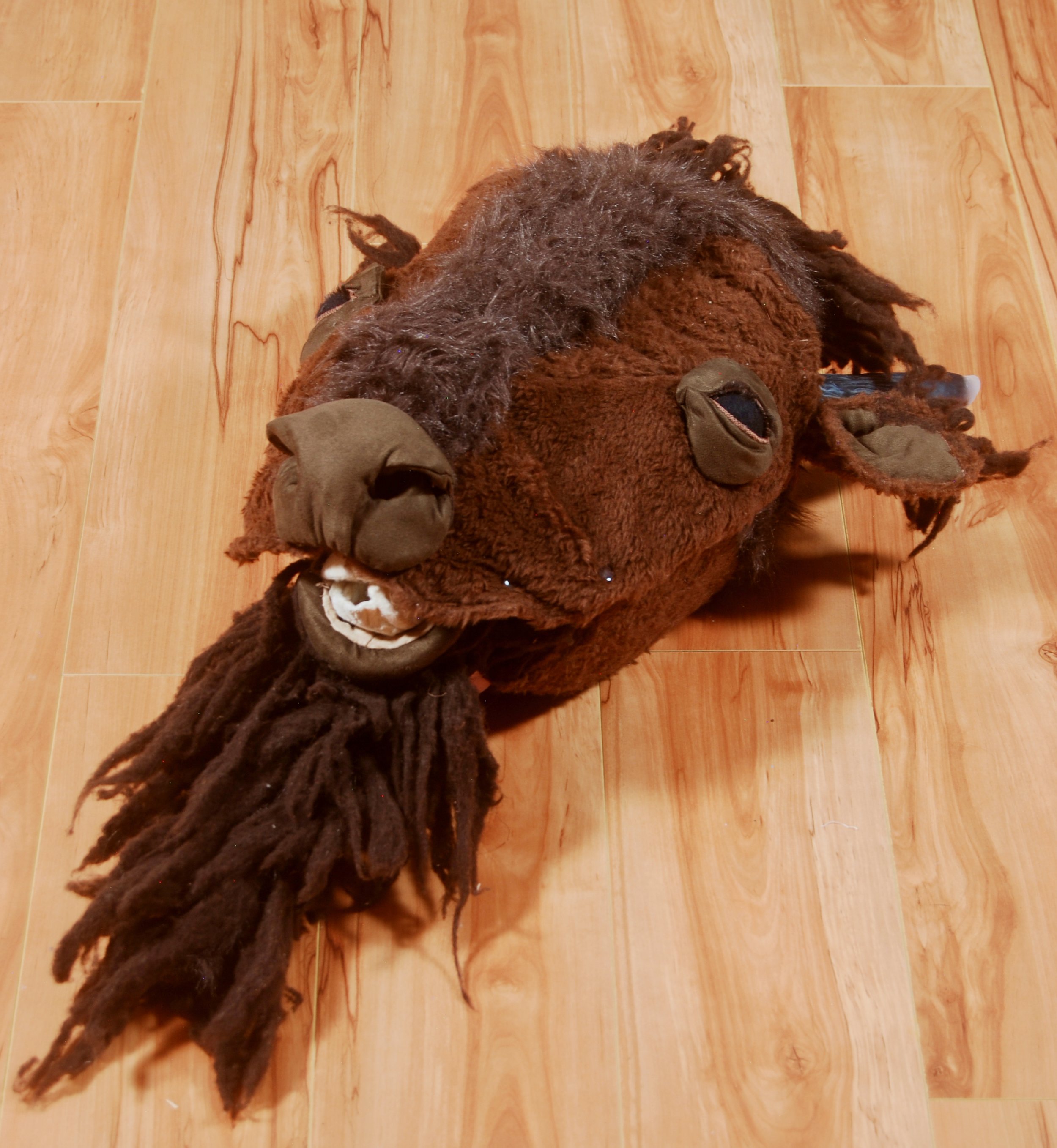 bison head (constructed)