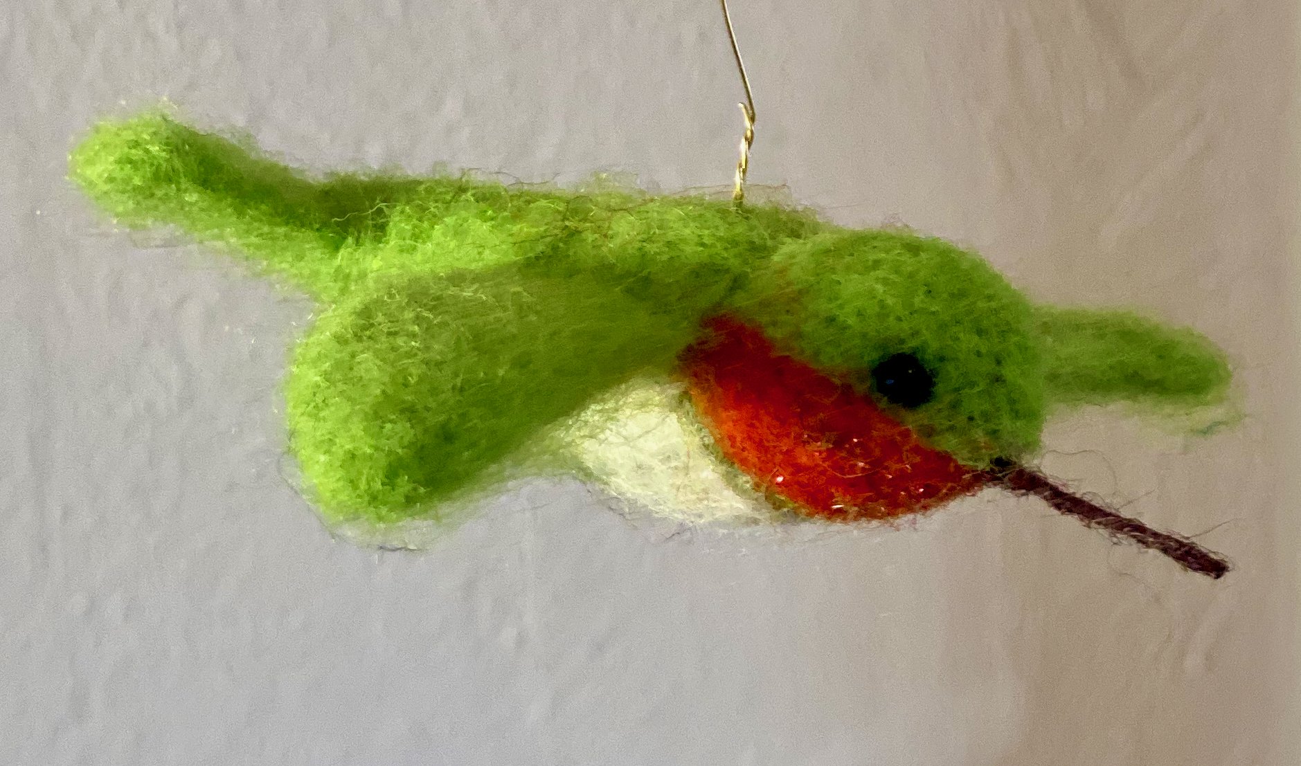 Broad-tailed Hummingbird