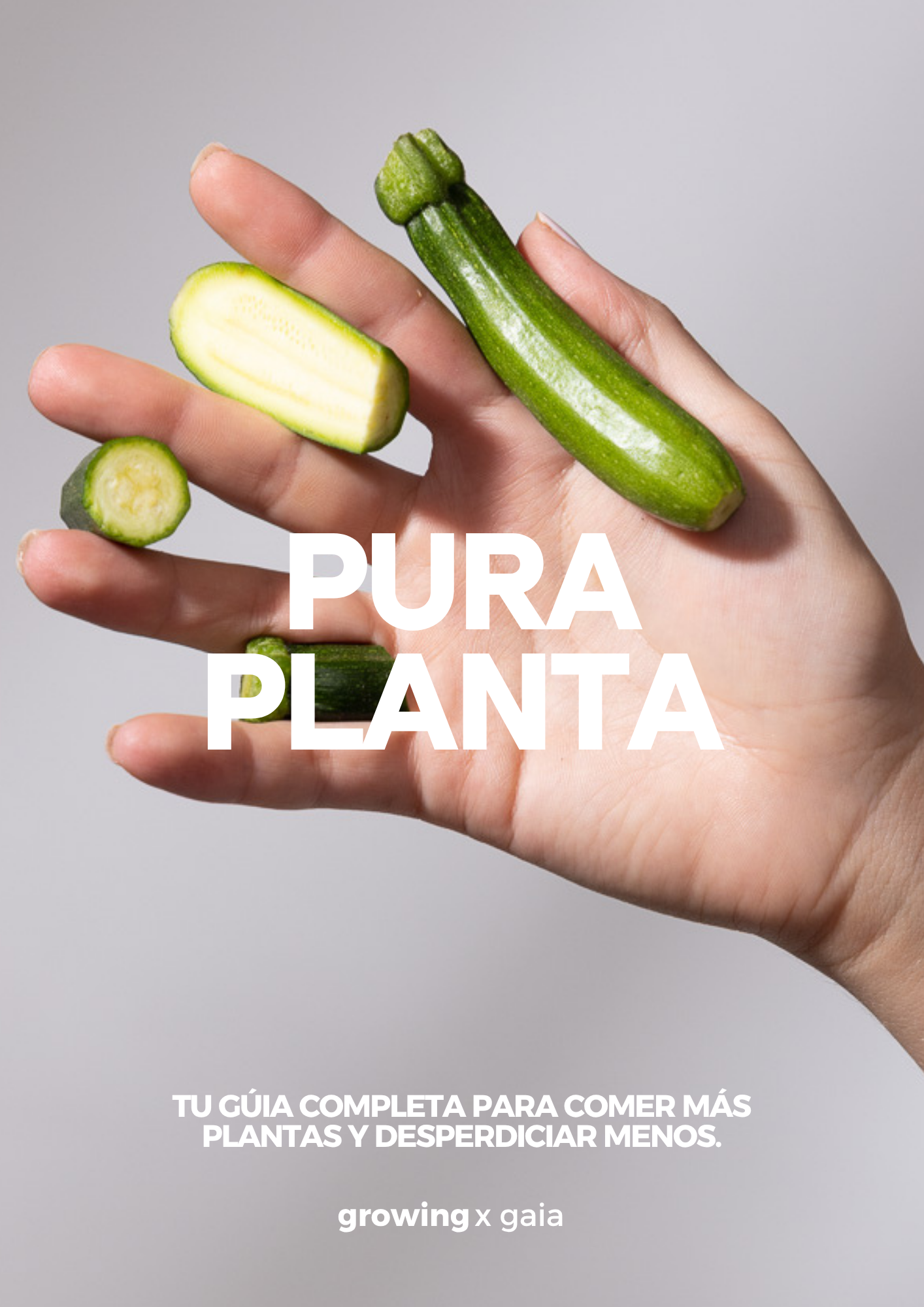 Pura Plant V.2026.png