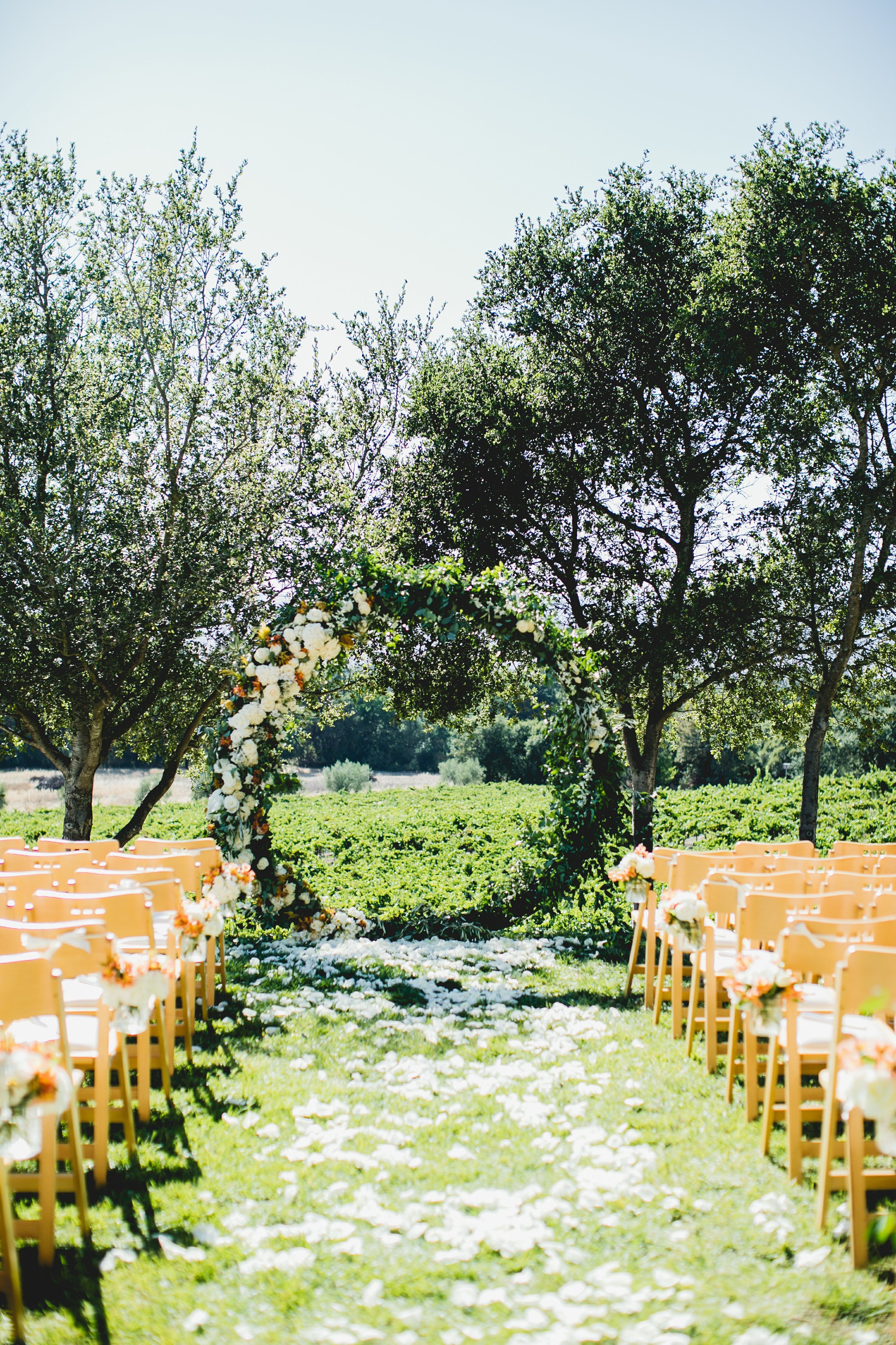 Sonoma wedding ceremony.jpg