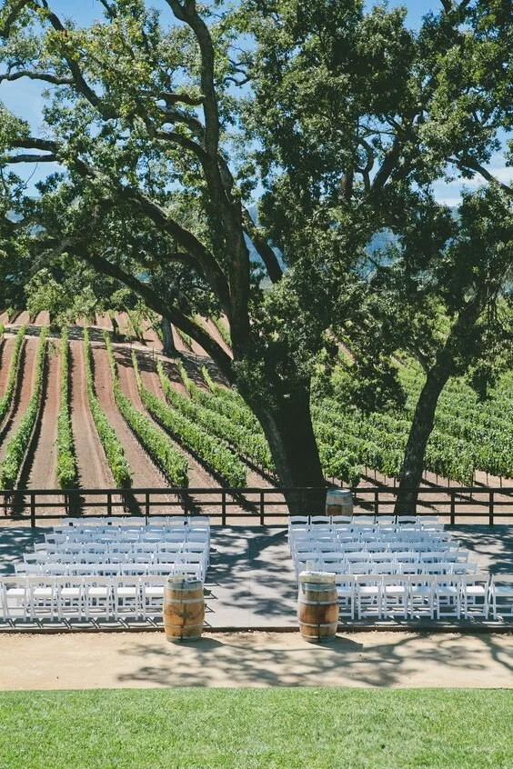 BR Cohn Winery wedding ceremony site under a oak tree and vineyards behind it