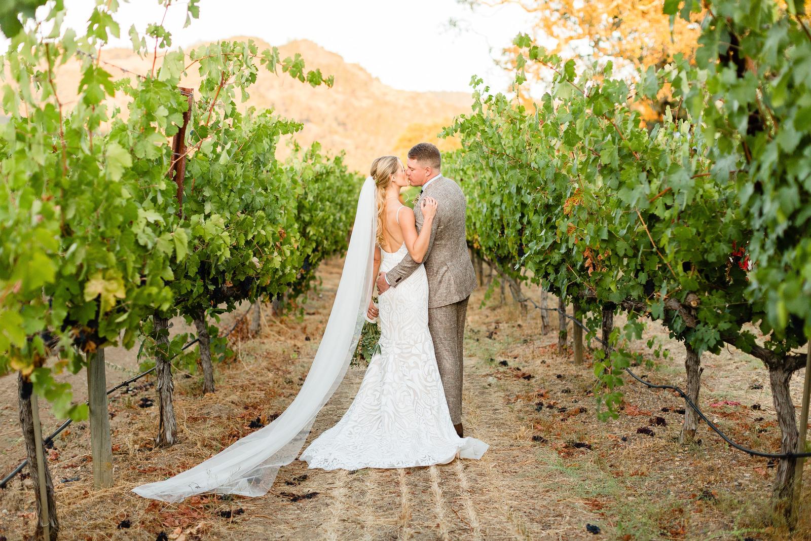 Solage Auberge wedding Bride and Groom Kiss in Vines