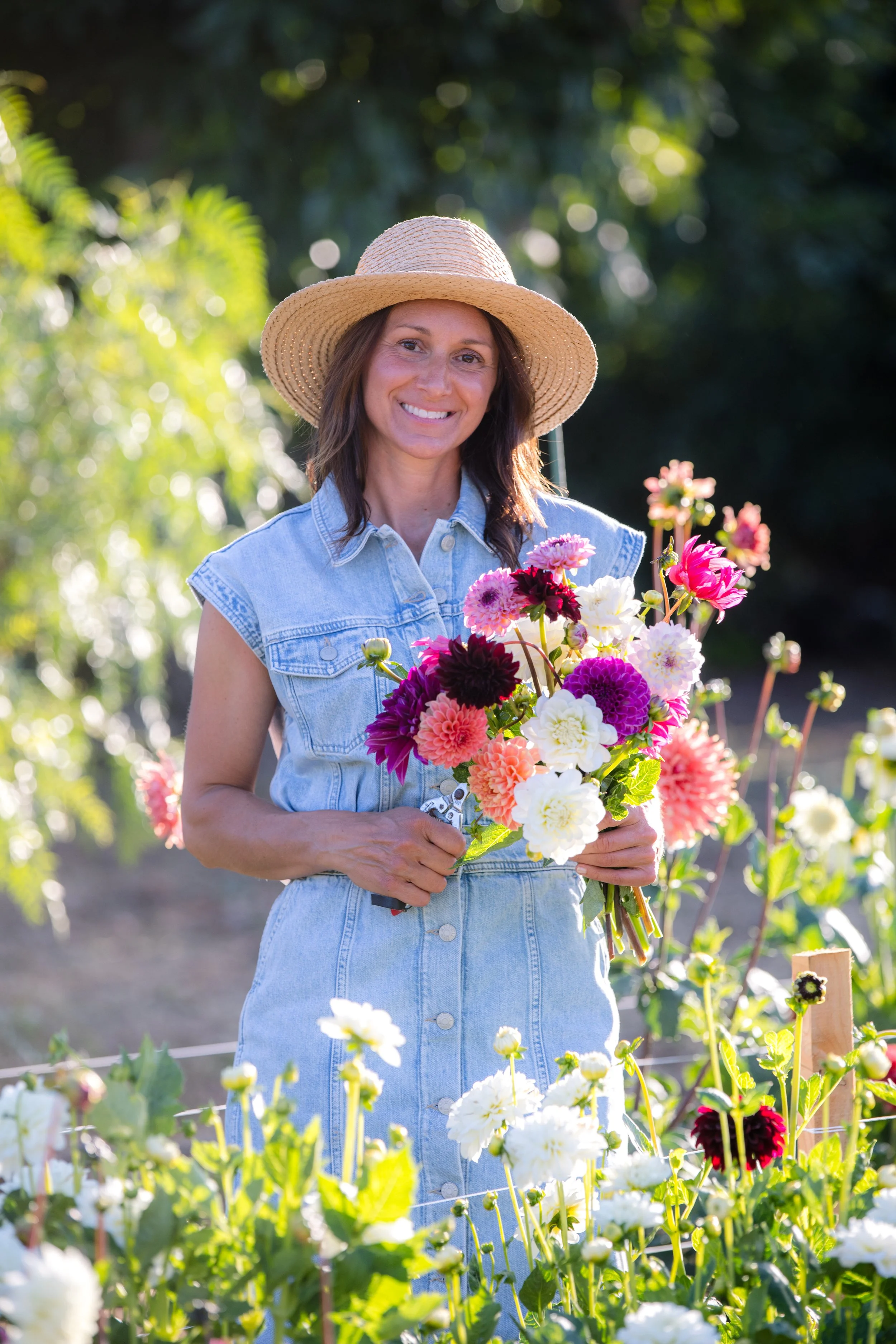 chester replacement pic.JPG