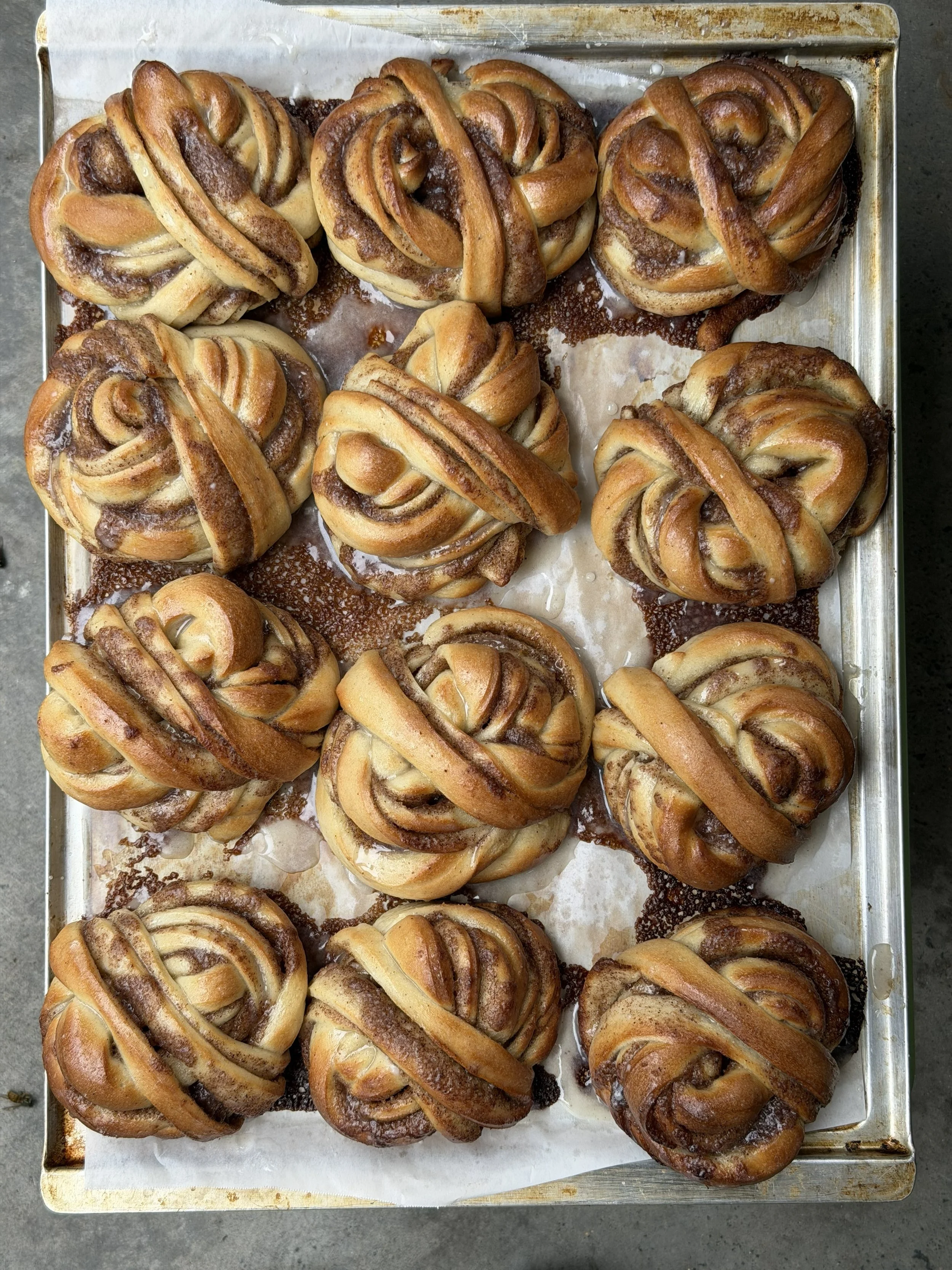 Cinnamon Bun!