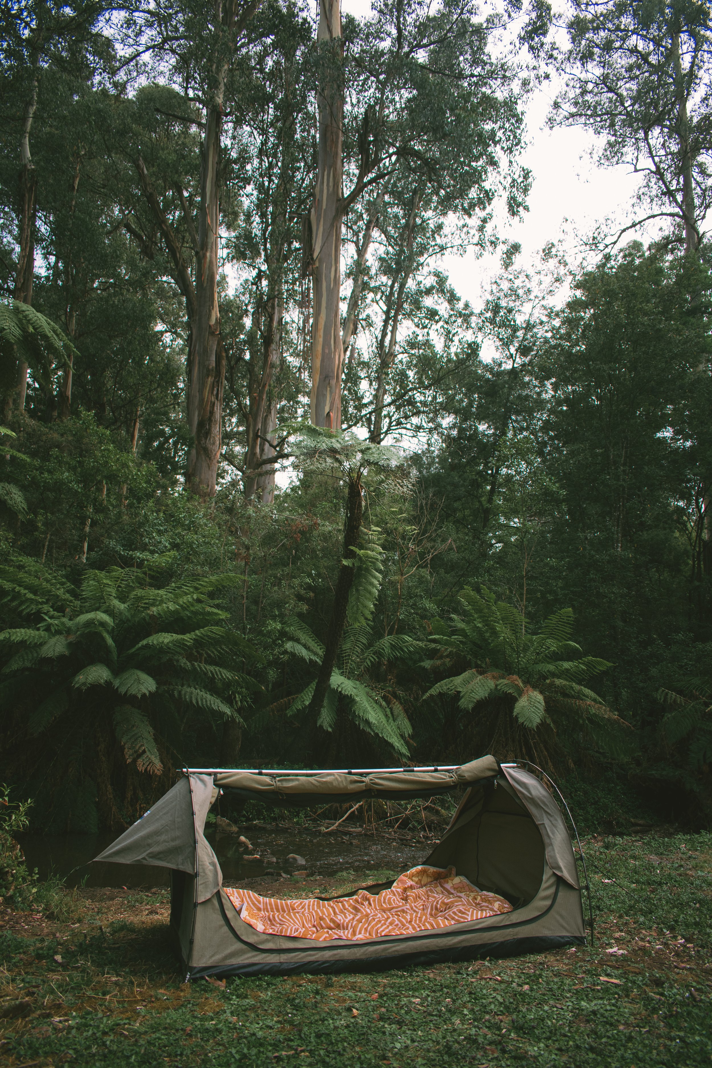 DSC_5738-Edit.jpg