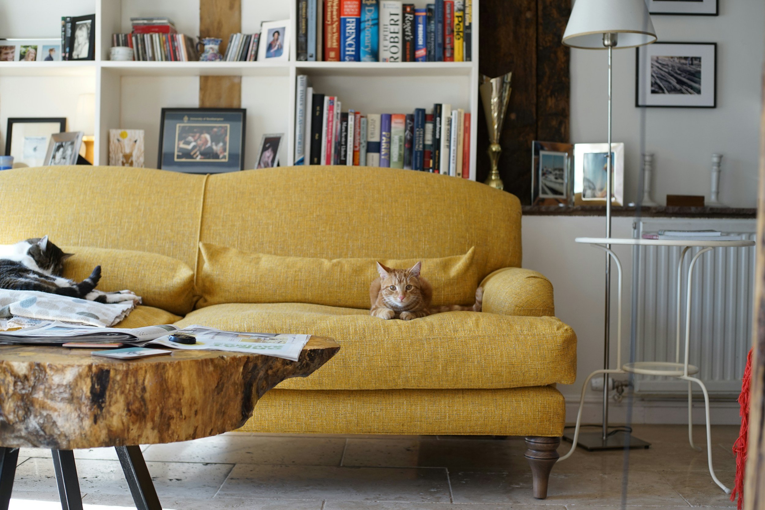 colorful-yellow-sofa