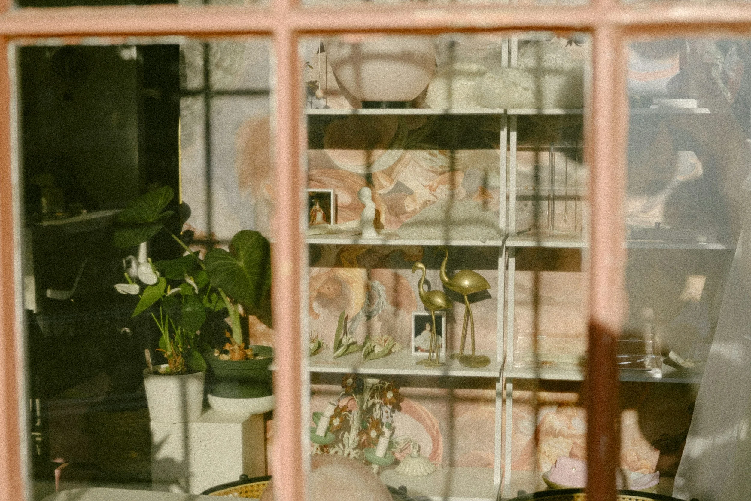 eclectic home-pink -flamingo