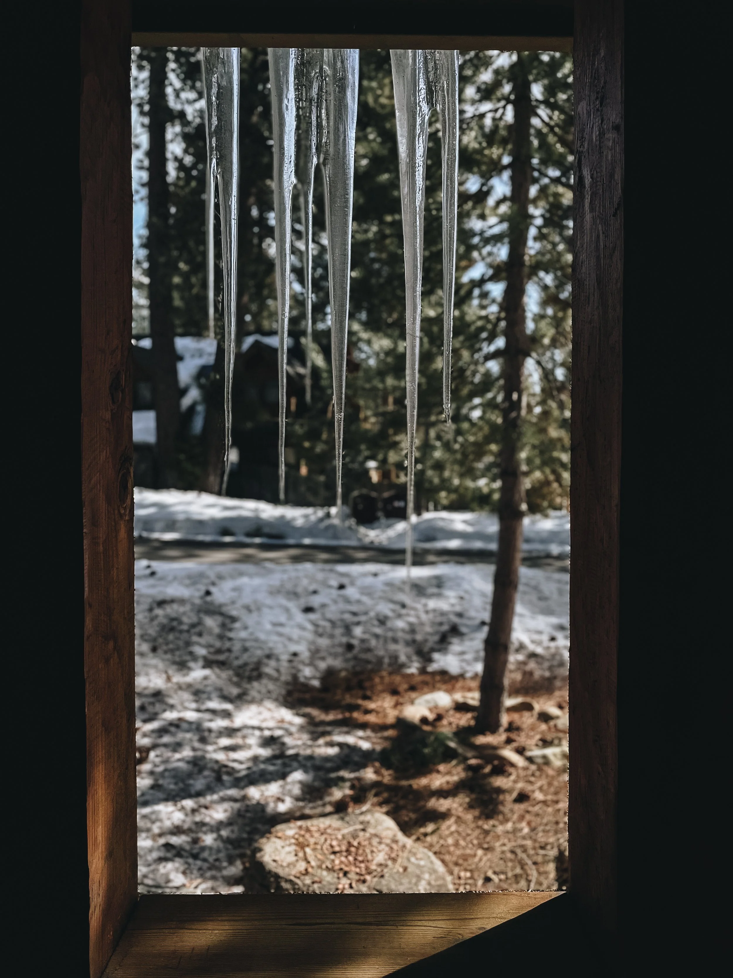 LAKE TAHOE, CALIFORNIA ICICLES VIEW