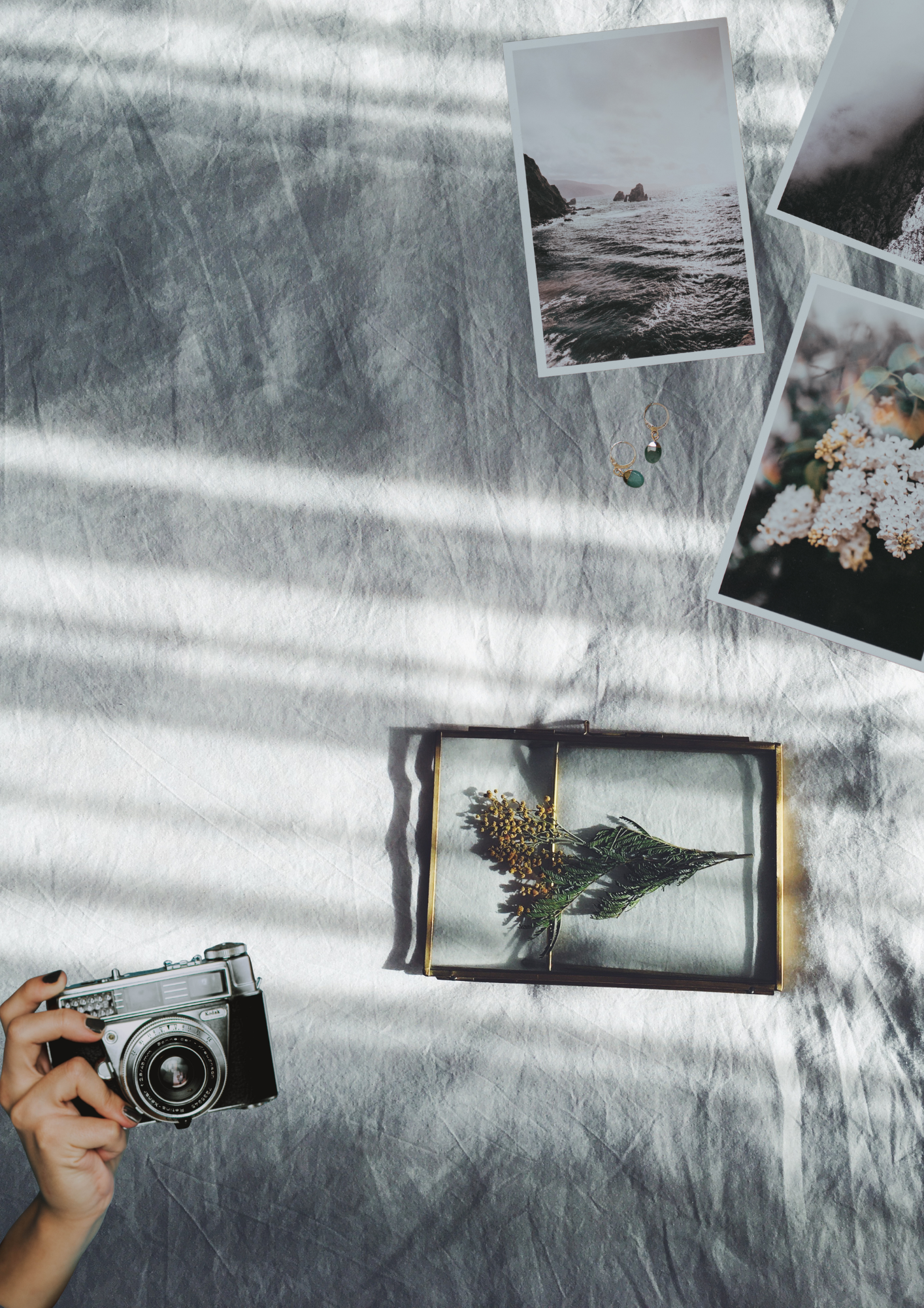 printed-room-photos-design-mood-ardisenostudio.png