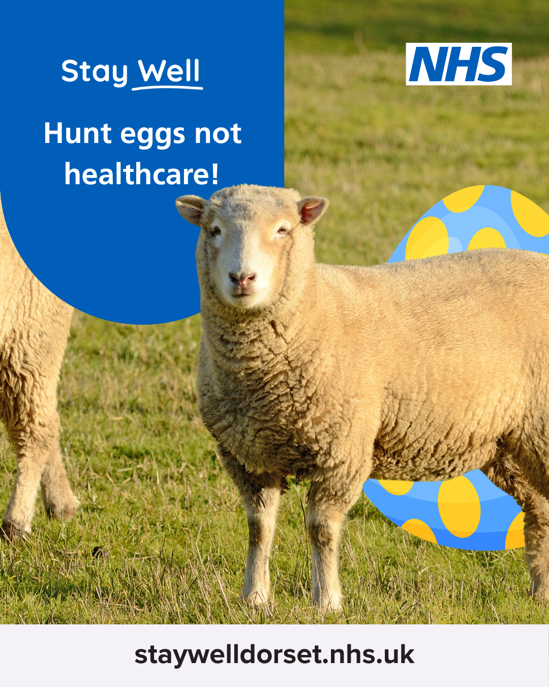 GP advice on how to hunt eggs not healthcare this Easter in Dorset