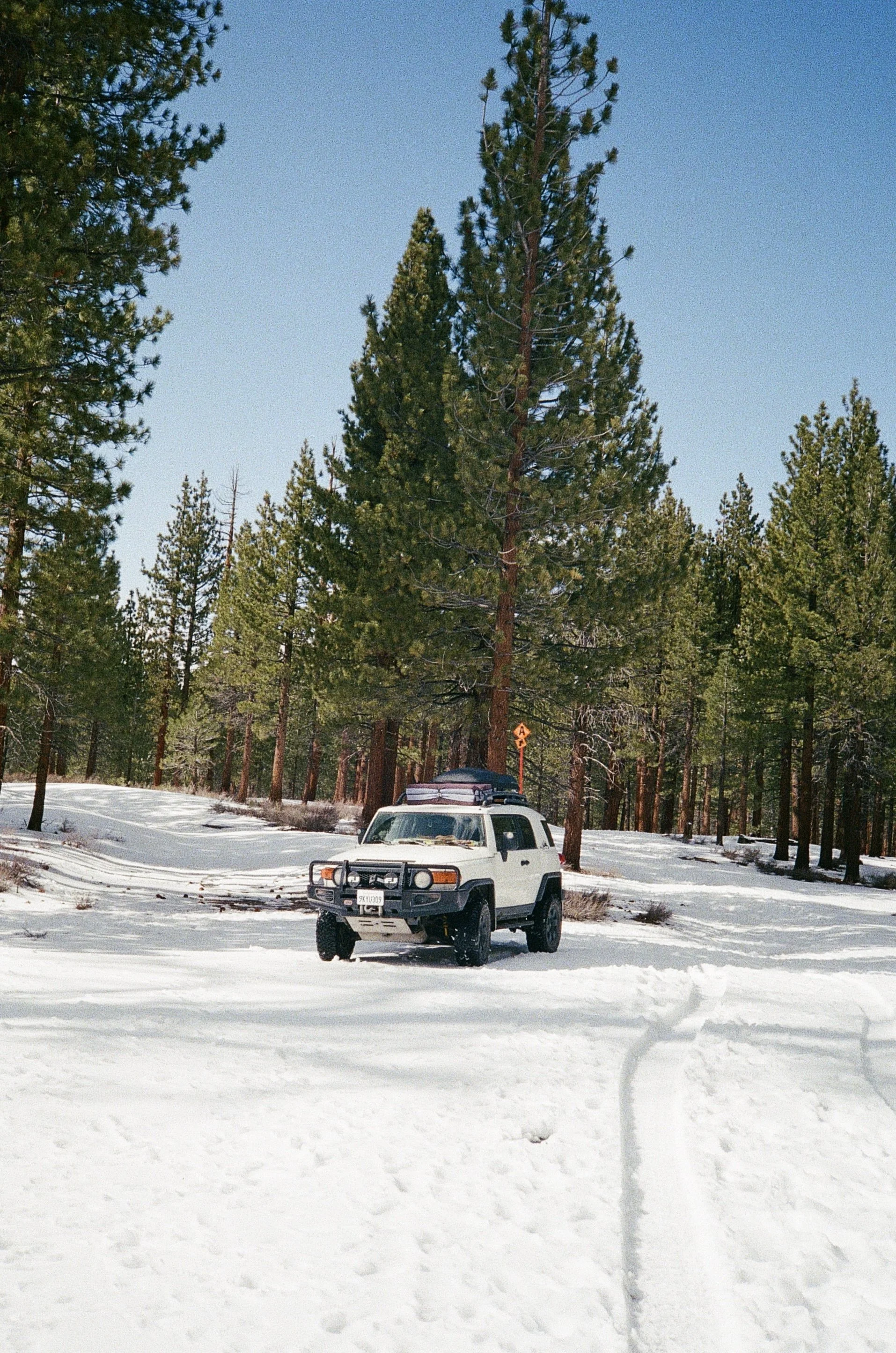 IMG_7970.JPG
