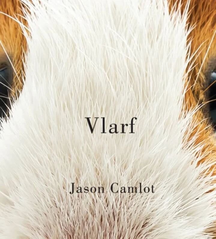 On Saturday, April 1, #GettingLitWithLinda released an episode- interview with Jason Camlot about his poetry collection Vlarf (@mcgillqueensup ) - want to know what Vlarf is? Check out the episode to find out.

.https://play.acast.com/s/getting-lit-w
