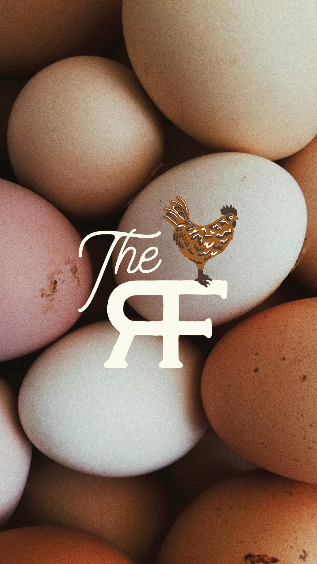 TRF-03.png
