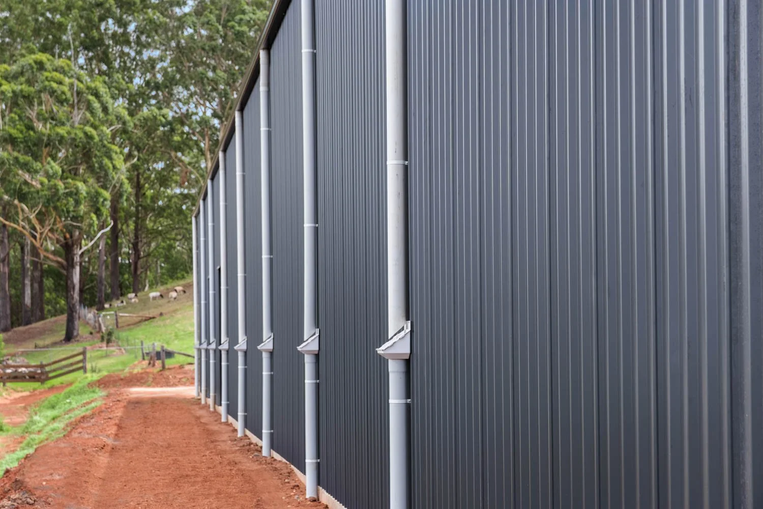 colorbond shed cladding