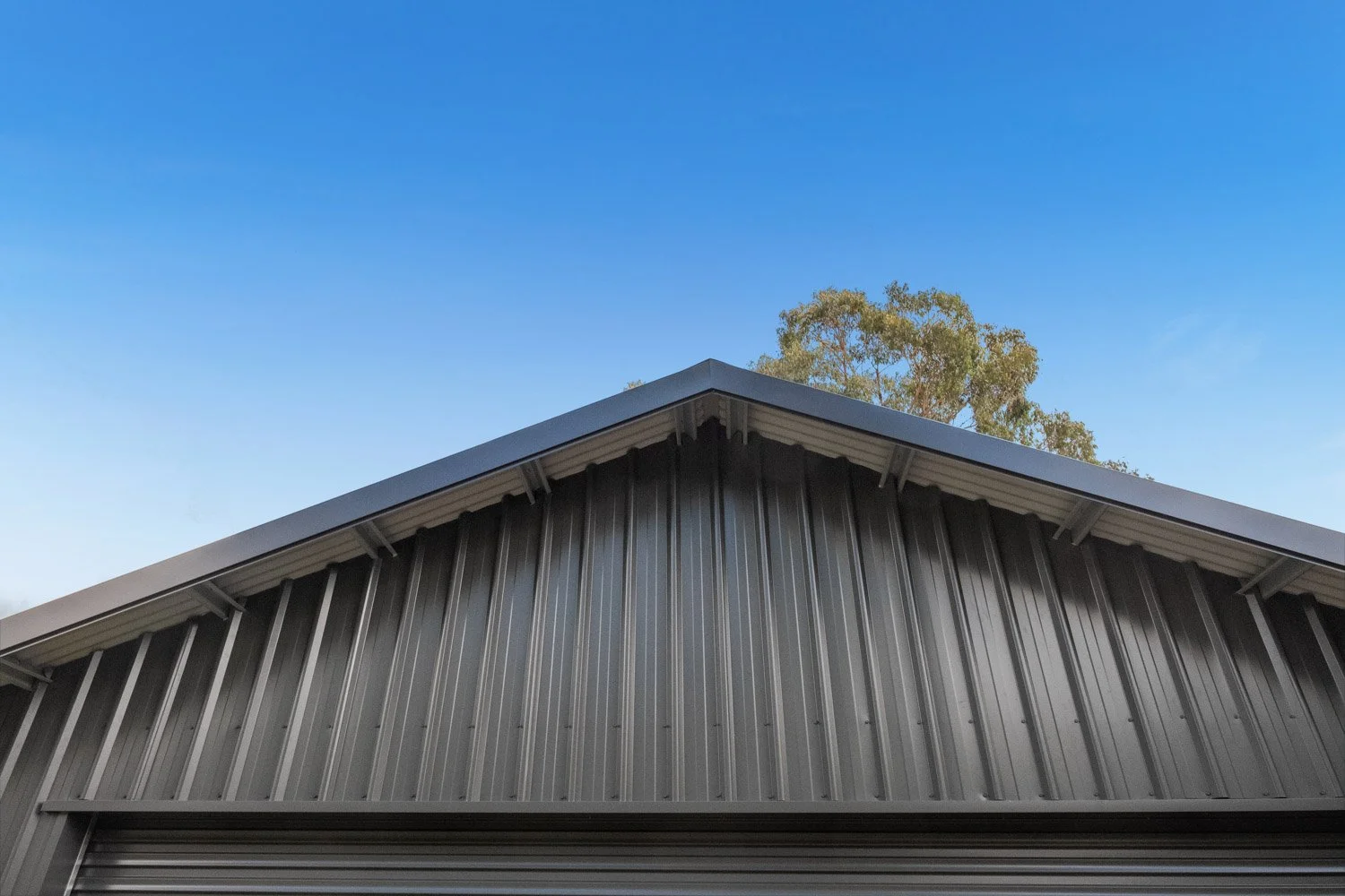 shed with gable roof