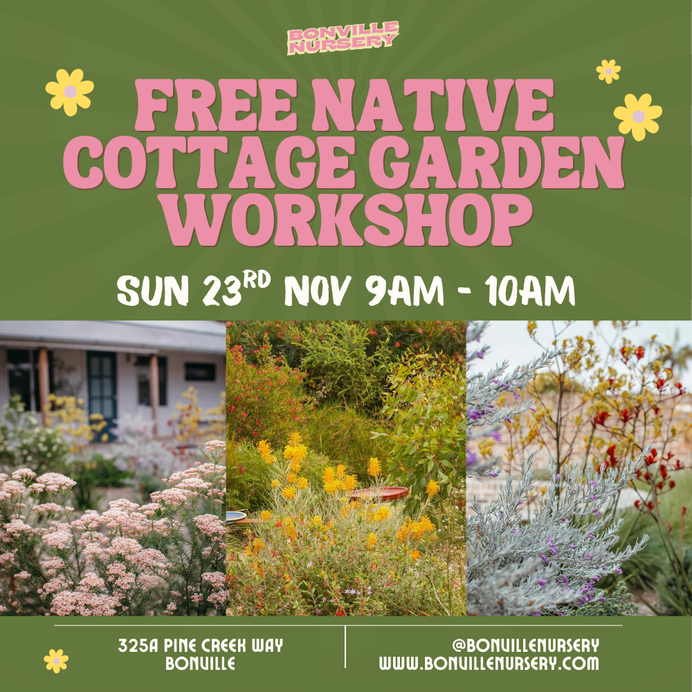 Native Cottage Garden - Free Workshop - Sunday 23rd November