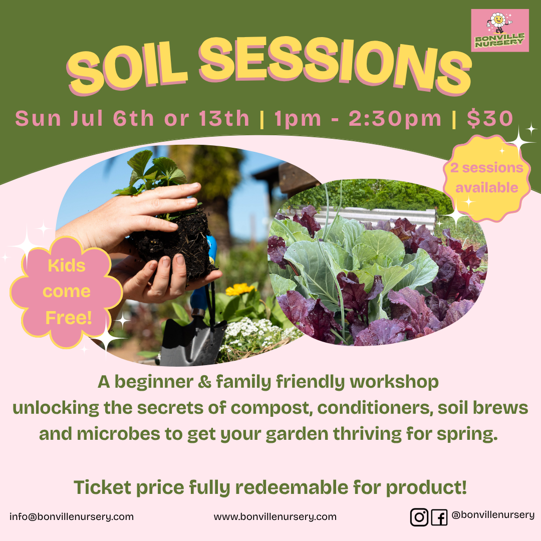Soil Sessions - 13th July
