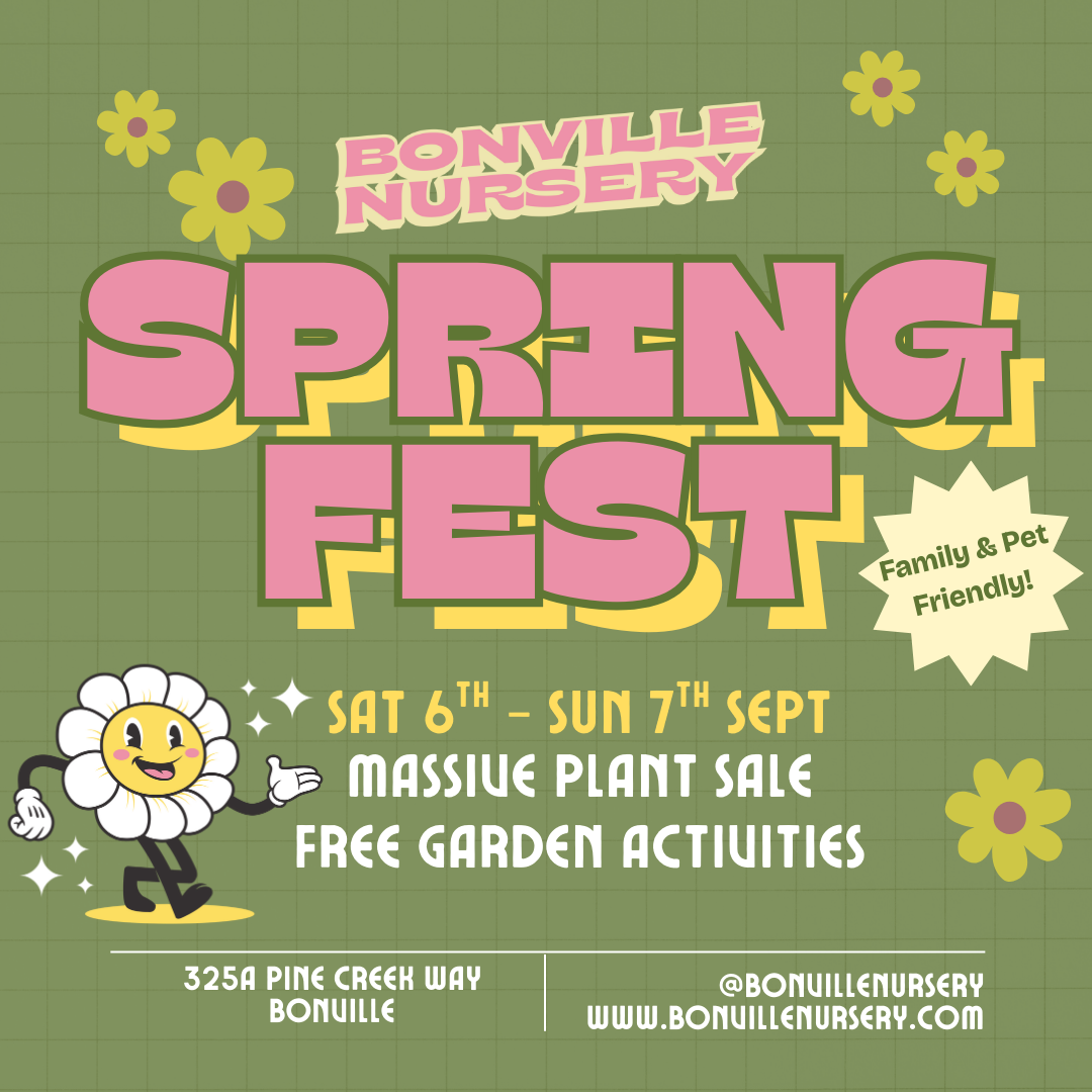 Spring Fest