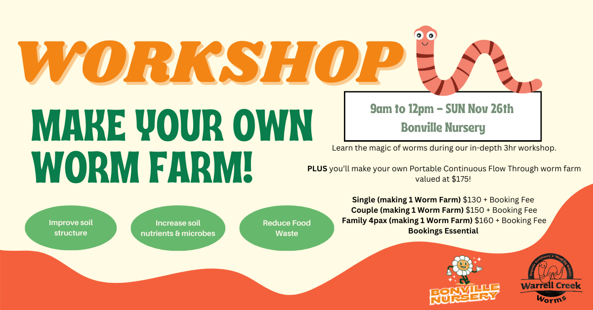 DIY Worm Farming — Bonville Nursery
