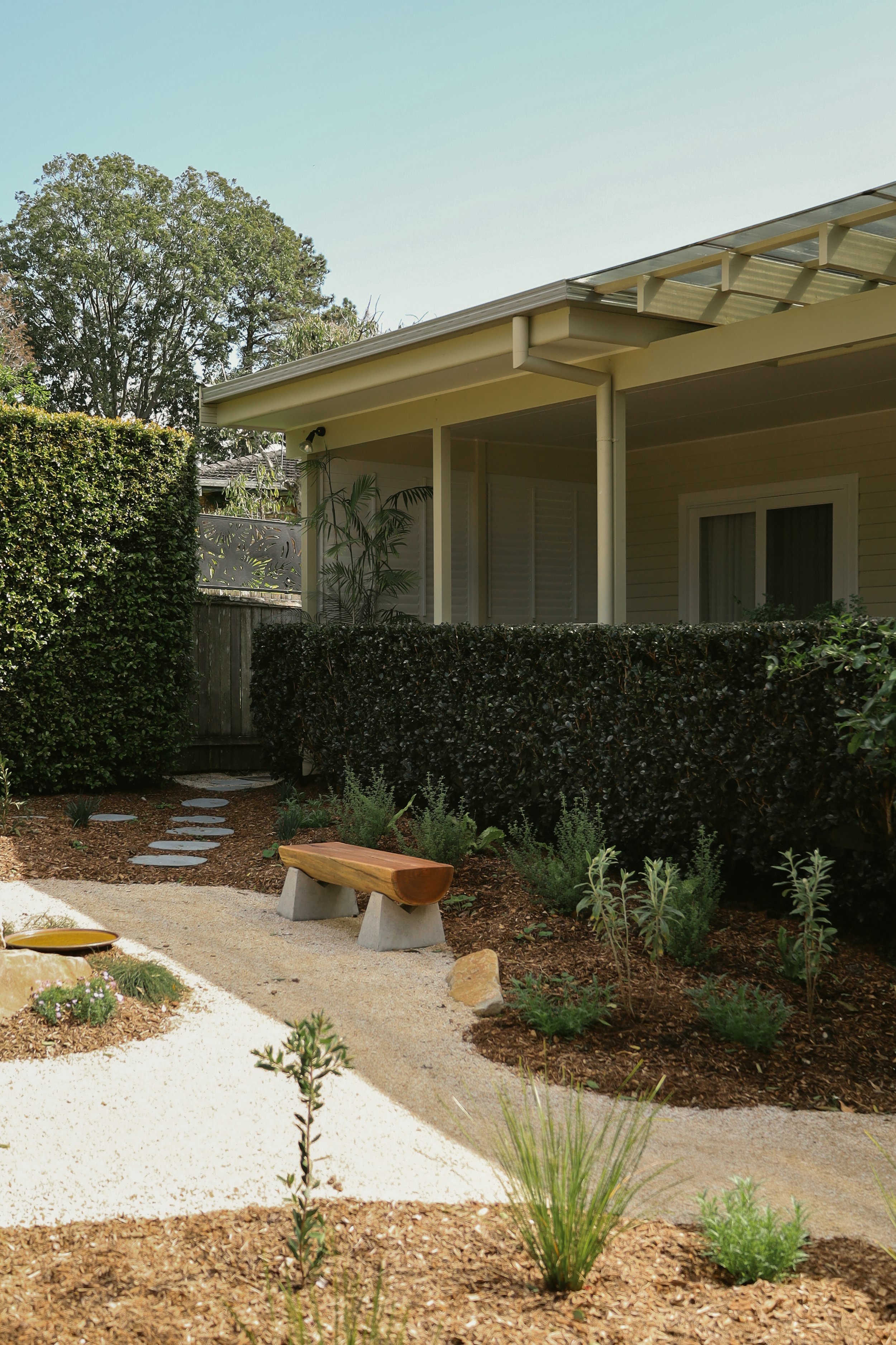 Tired Lawn to Living Parkland in Bello