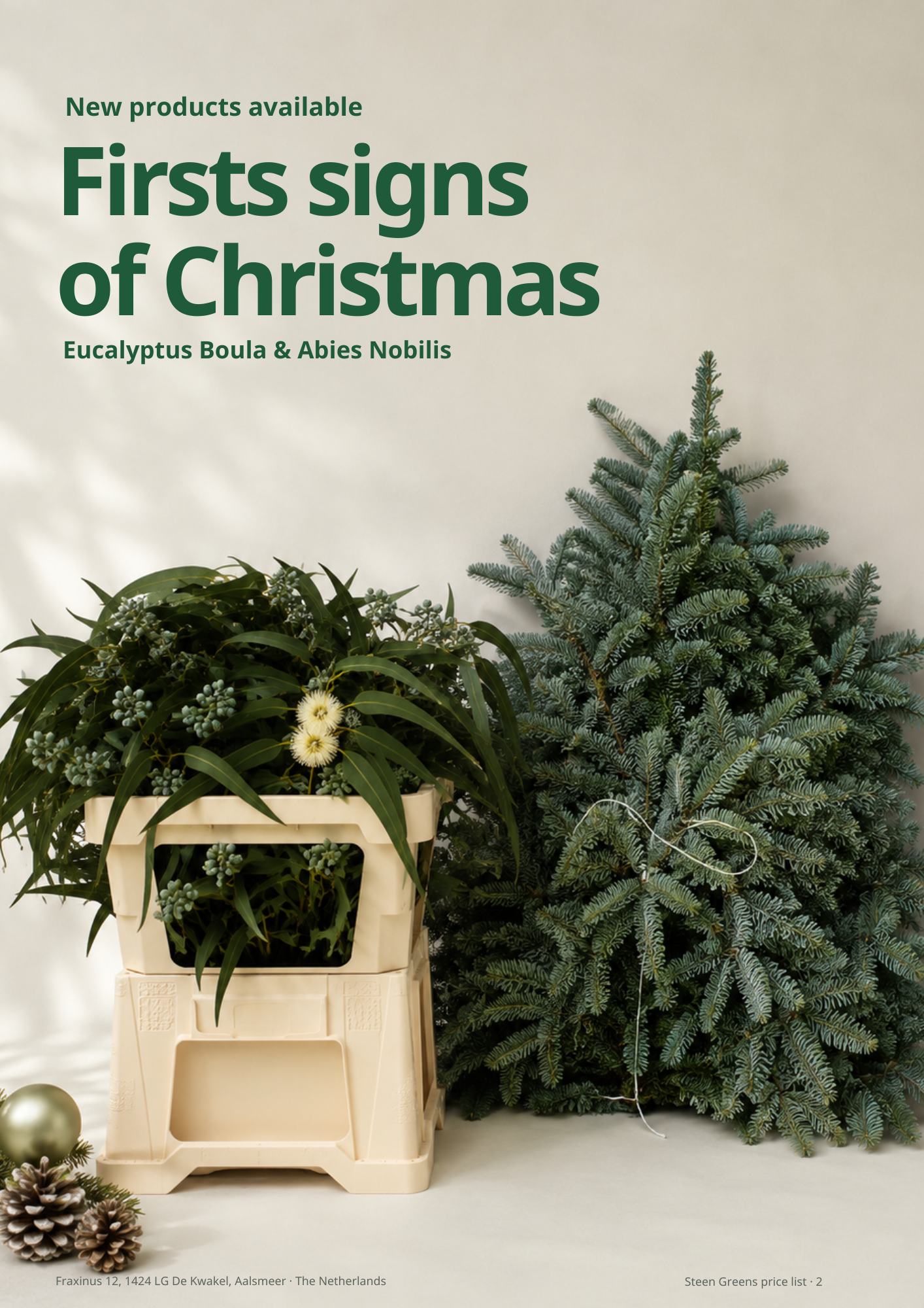 First Signs of Christmas