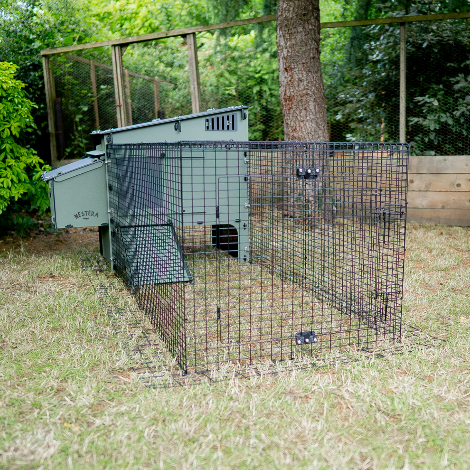 Aspen 6 With Run (3) (1).png