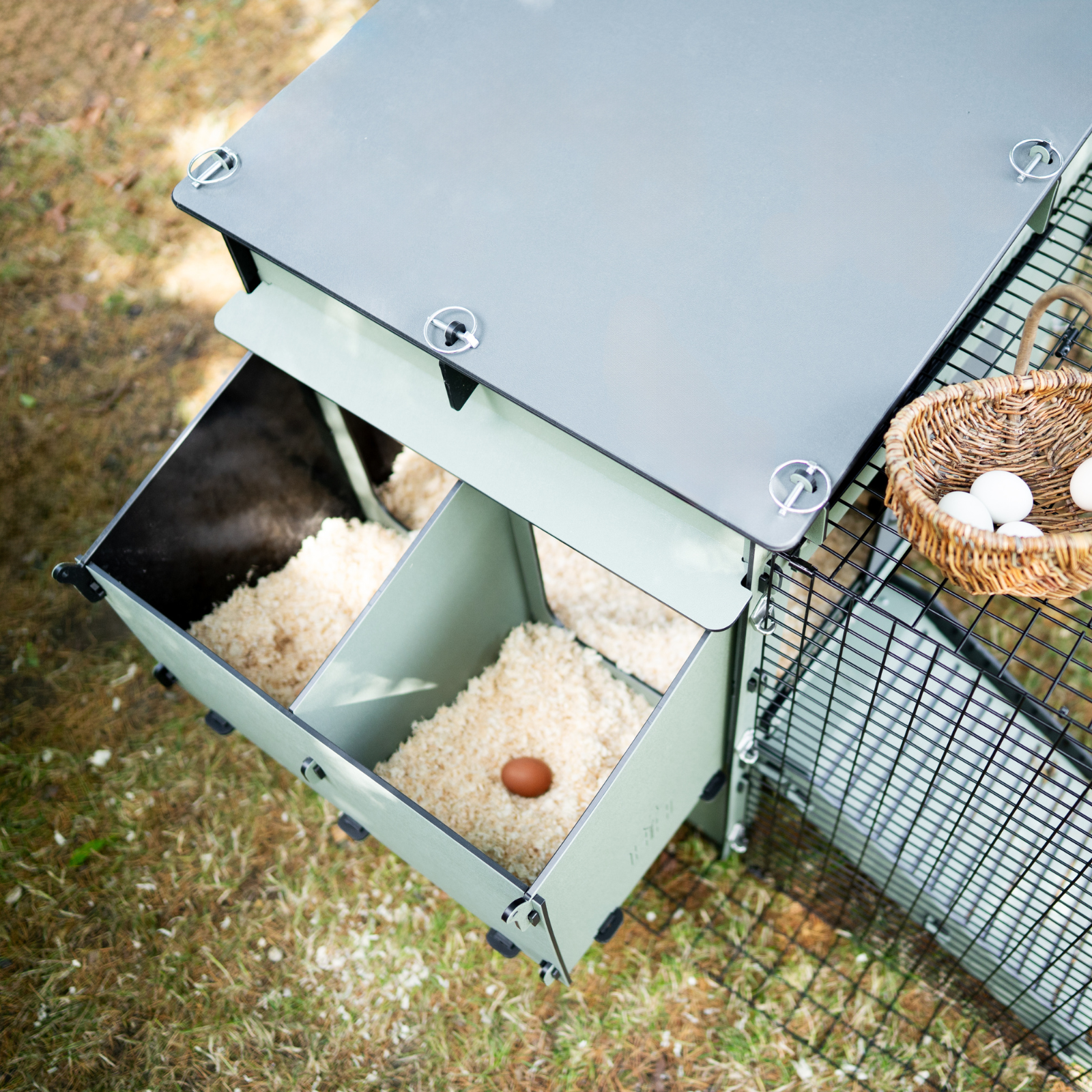 Aspen 6 With Run (Nest box focus).png