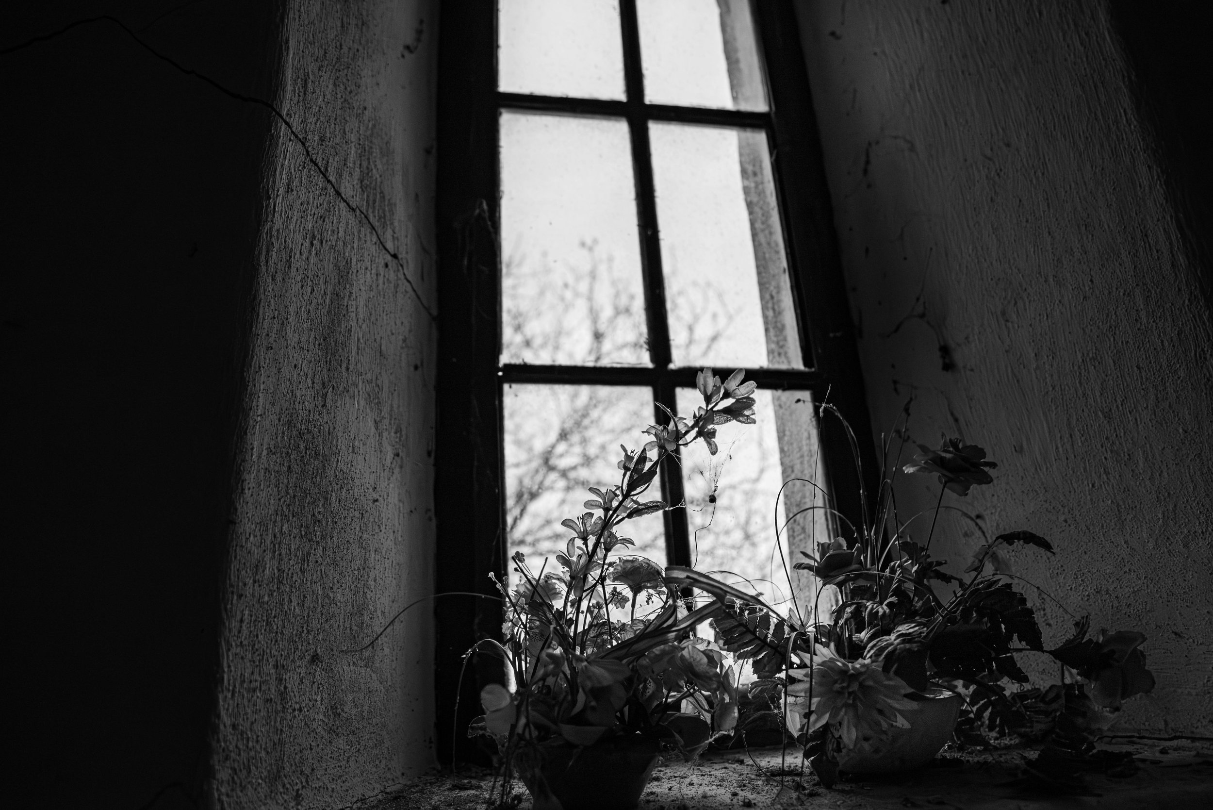 April 4, 2026:  Women's Writing Circle