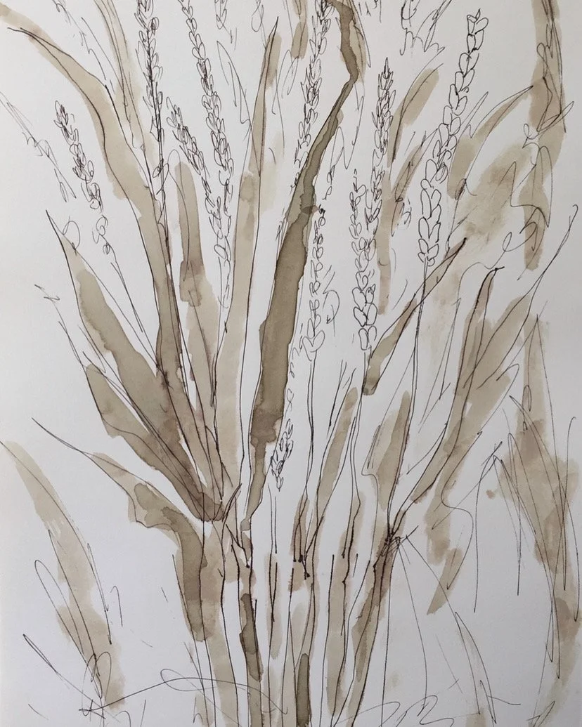 drawing    natural indigo ink on paper