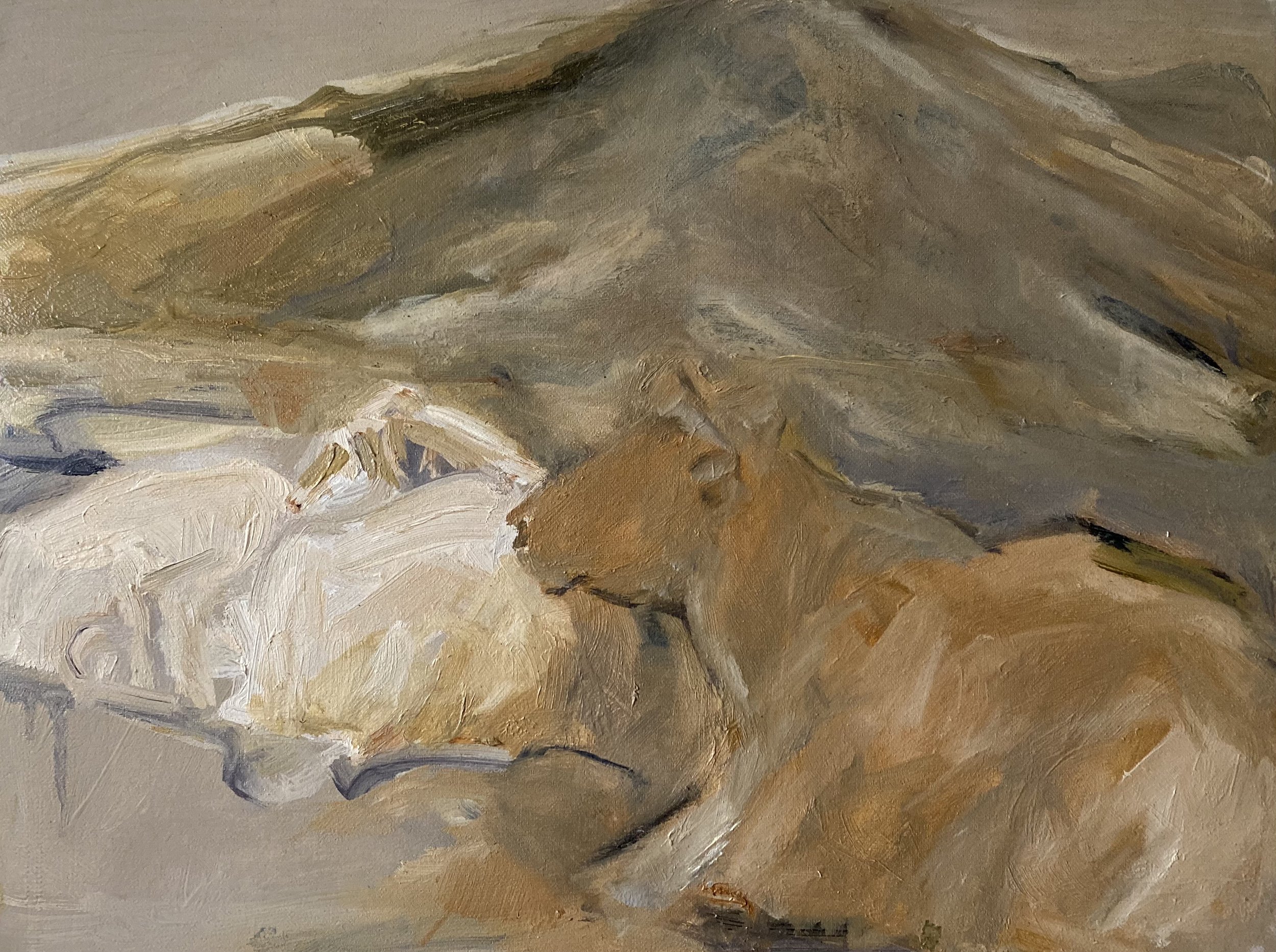 still yet   oil on linen canvas , 15.5 x 12"