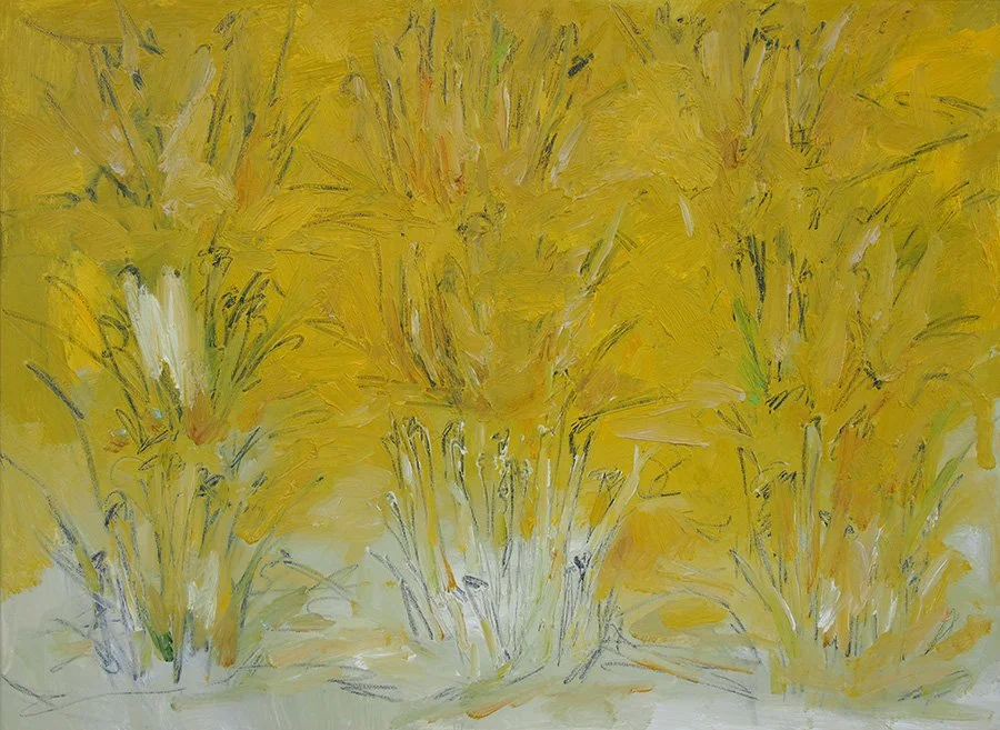  You have your time to be planted  , You have your time to grow  , You have your time to ripe  , You have your time to be  oil on canvas , 18 x 13'