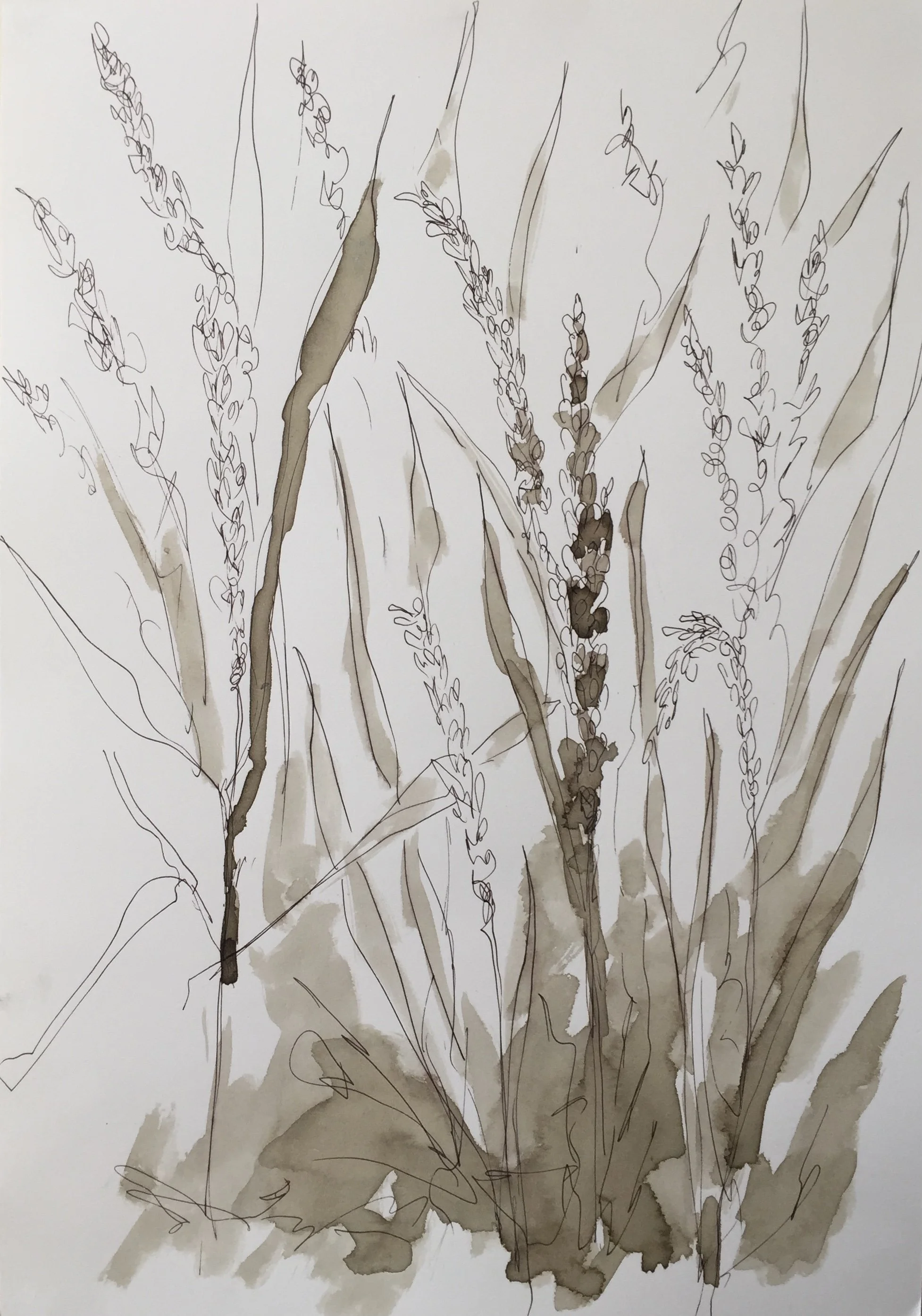 drawing    natural indigo ink on paper