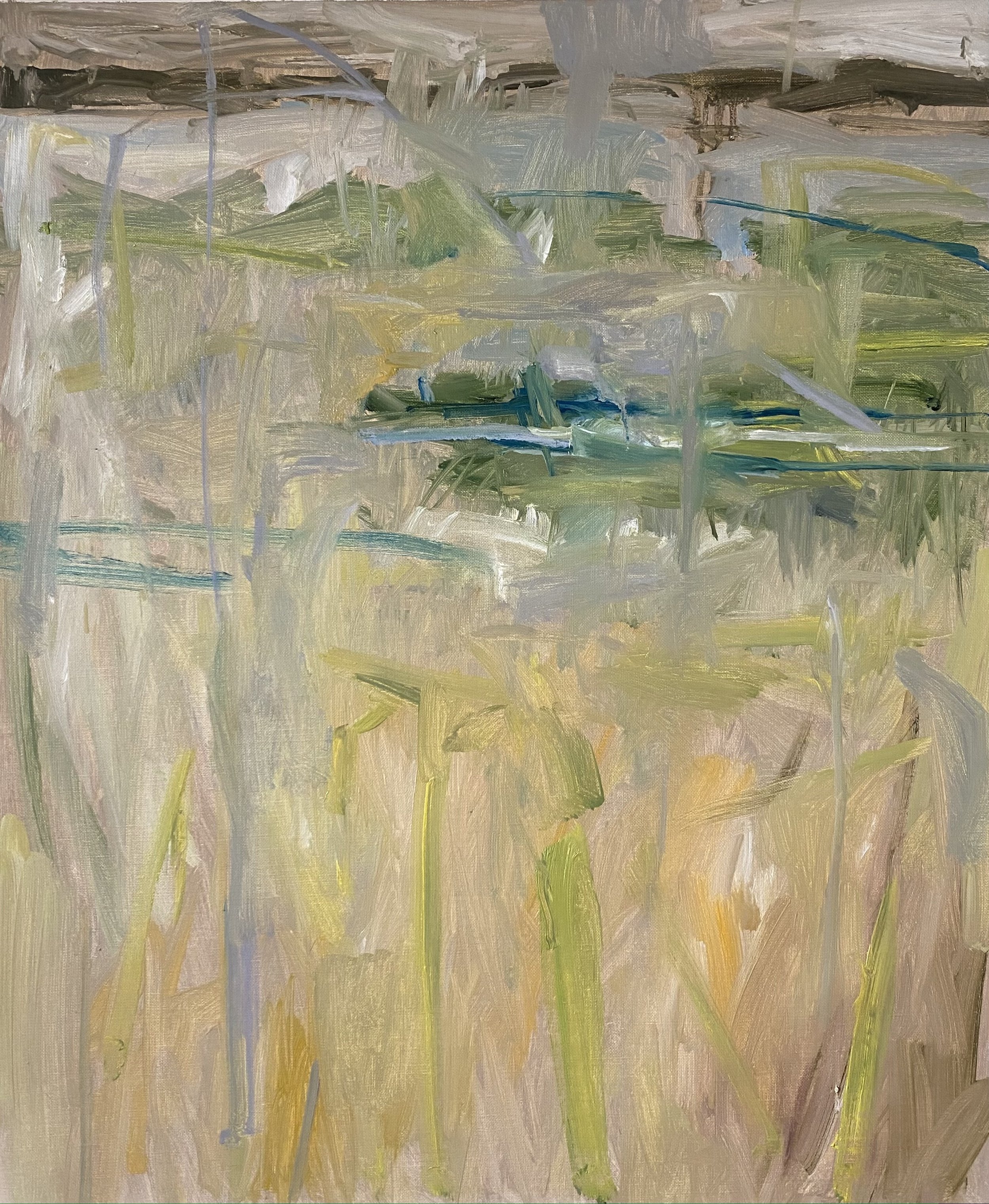 meadow in Galway  oil on linen canvas , 23 x 27"