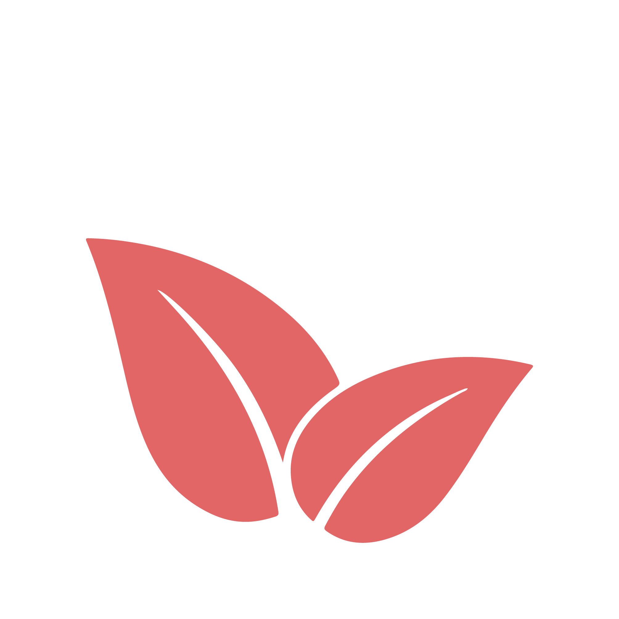 services-06.png