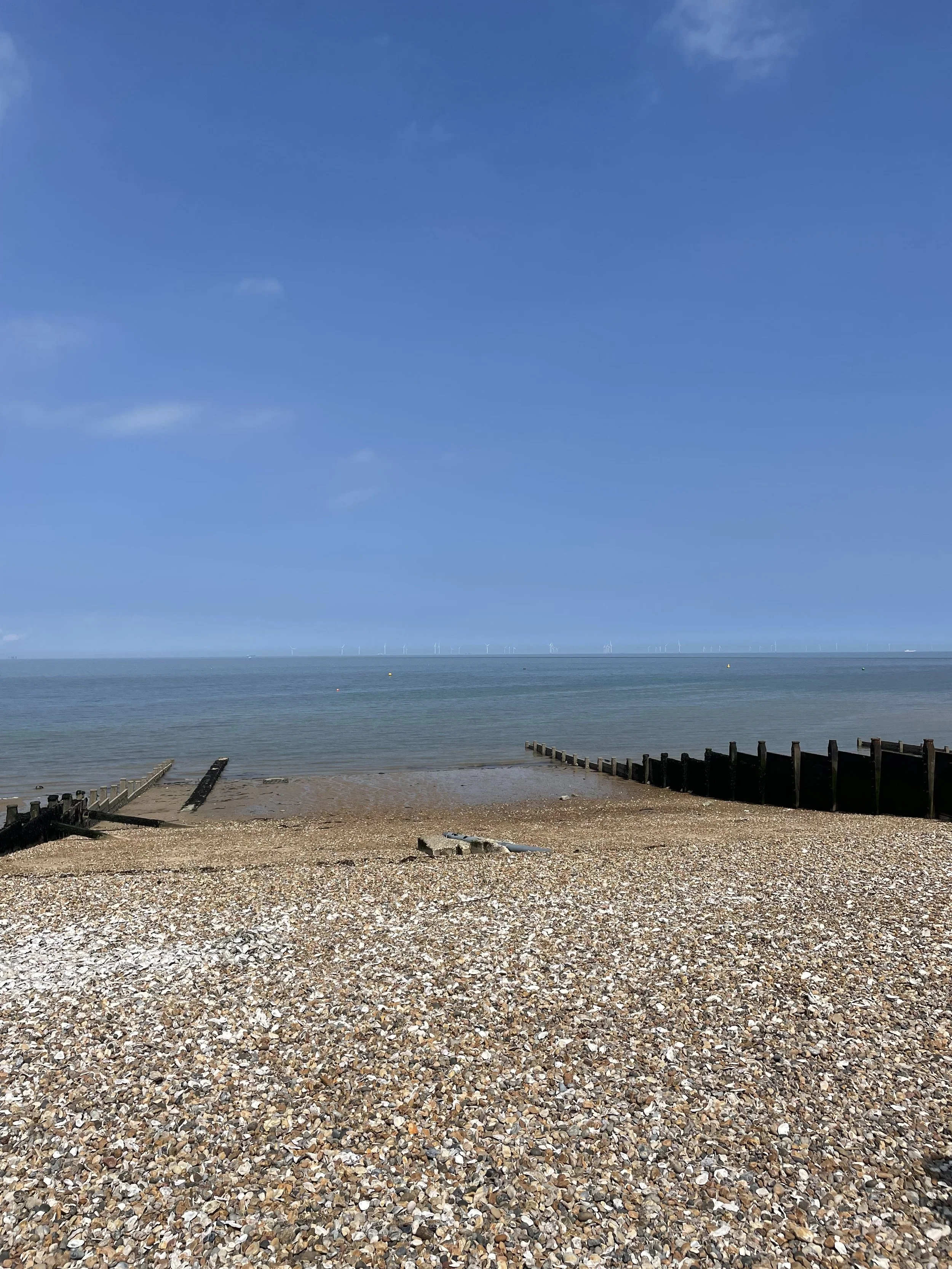 IMG_7656.jpeg