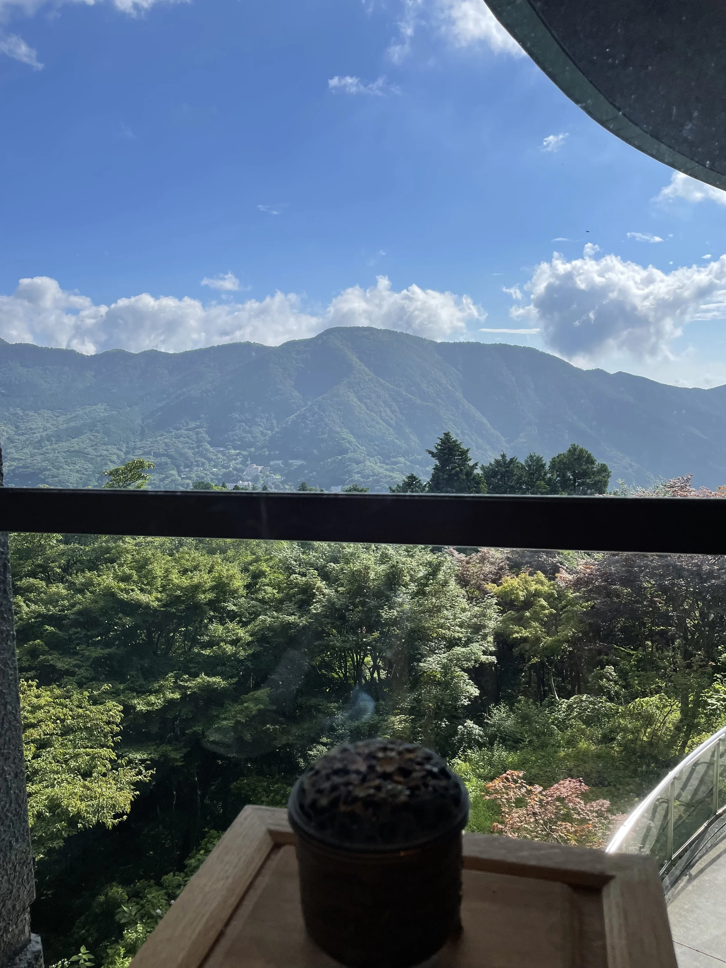 IMG_6025.jpeg