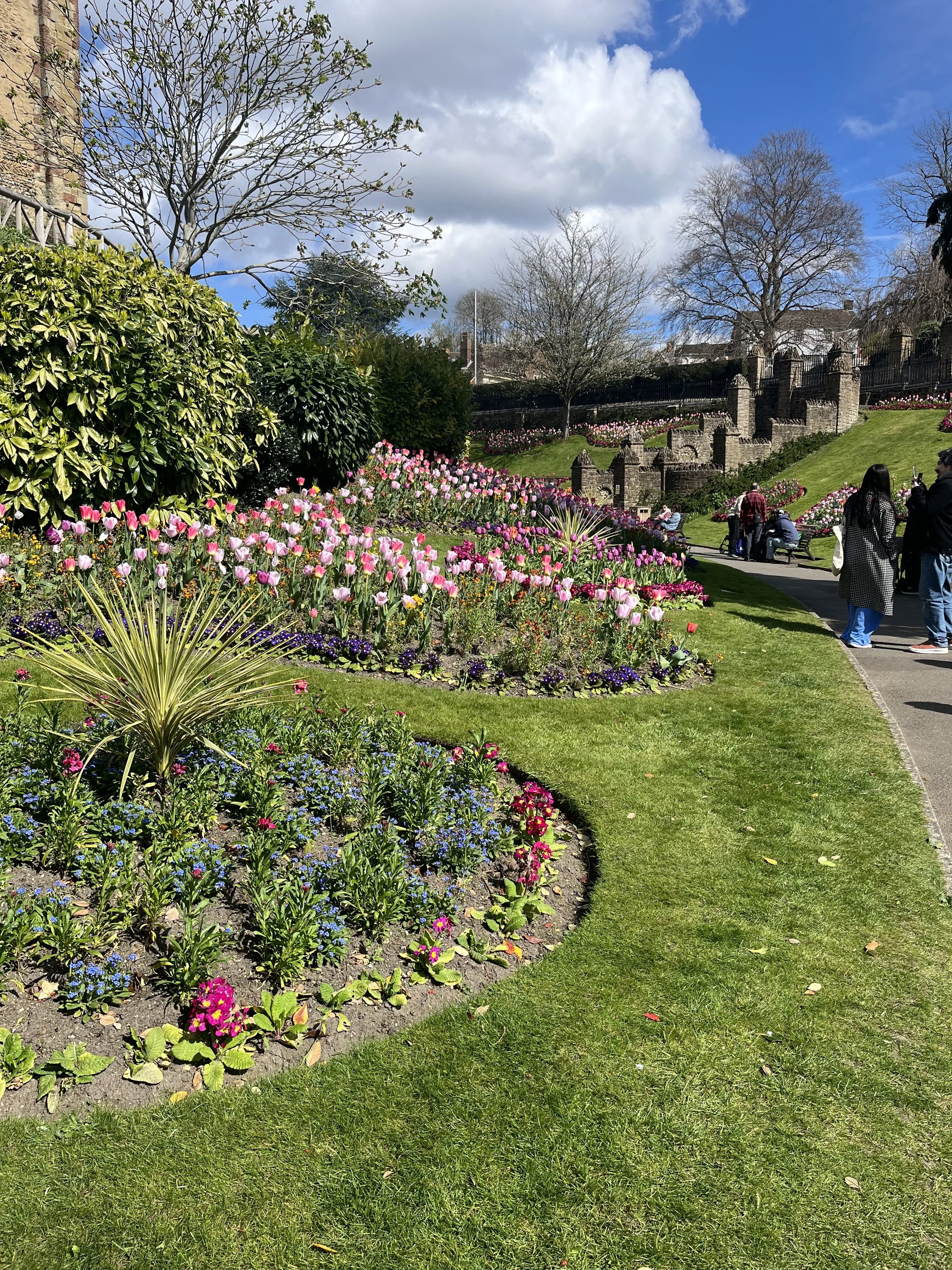 IMG_3706.jpeg