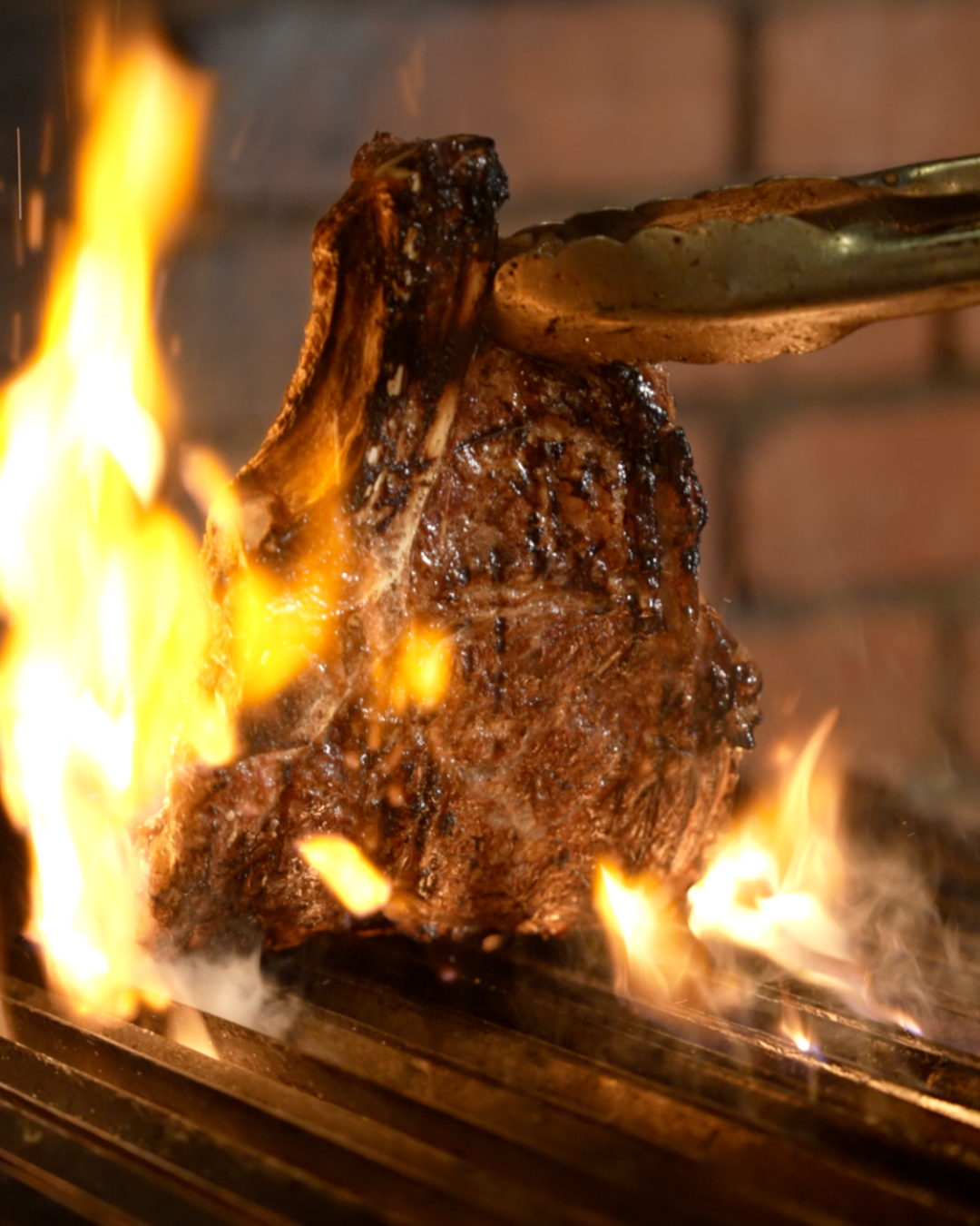 T-Bone &amp; Tallow Fridays
