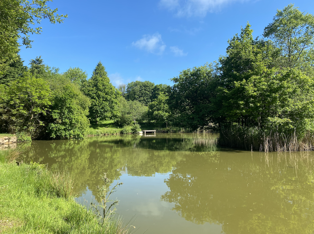 South Reed Farm Holidays
