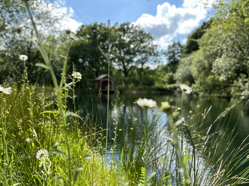 General 1 — South Reed Farm Holidays