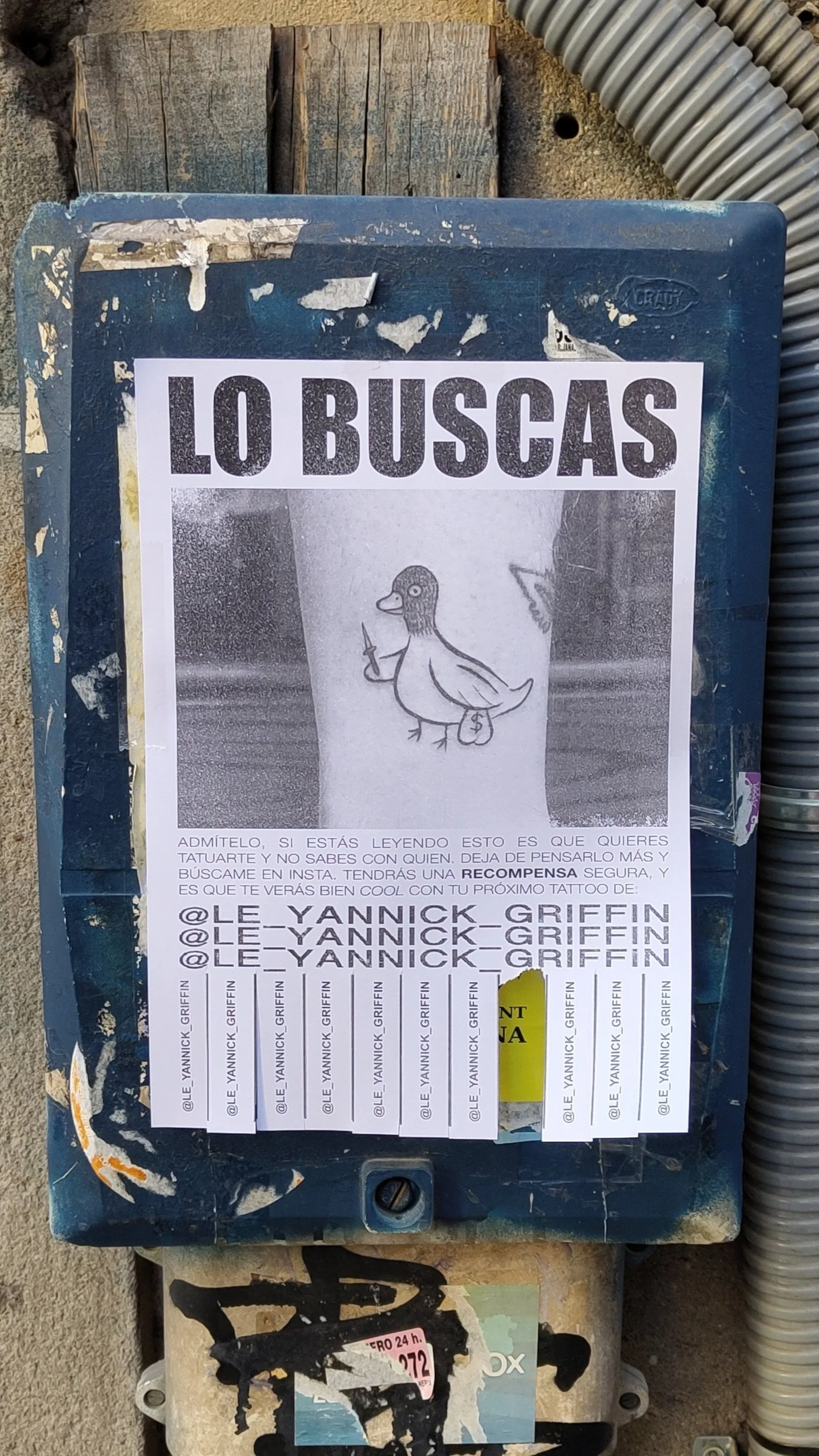 Lo buscas