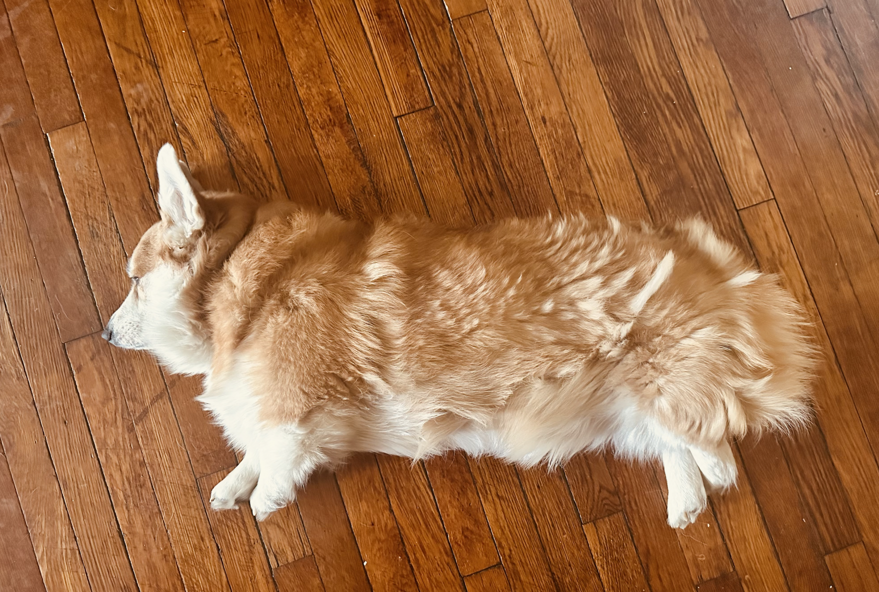 Screenshot 2026-02-24 at 14.38.37.png