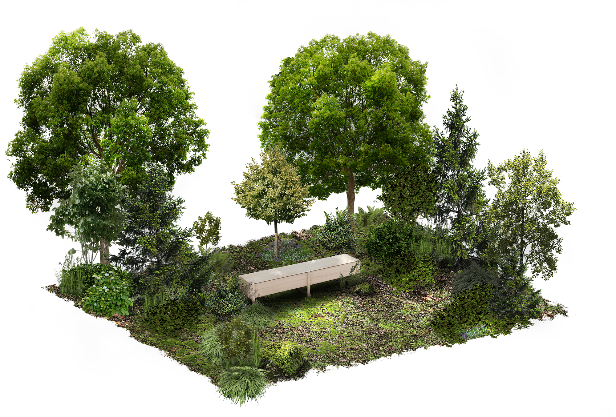 Bench in the Forest small.png